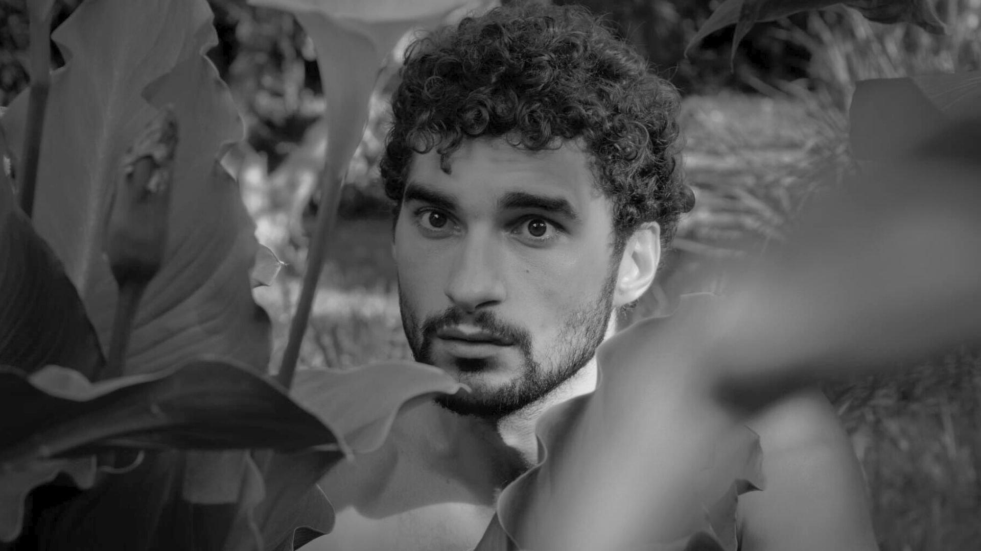 Backdrop for Dog-Dog