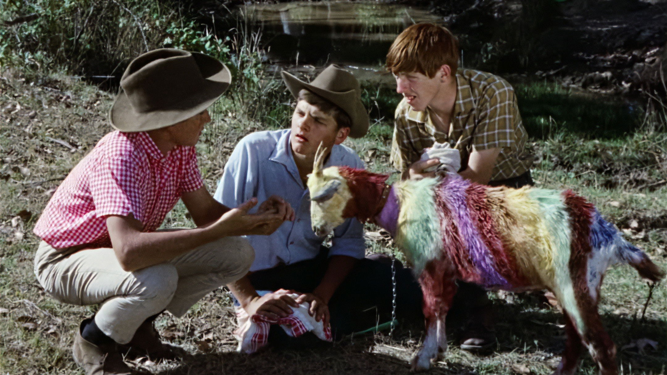 Backdrop for Funny Things Happen Down Under