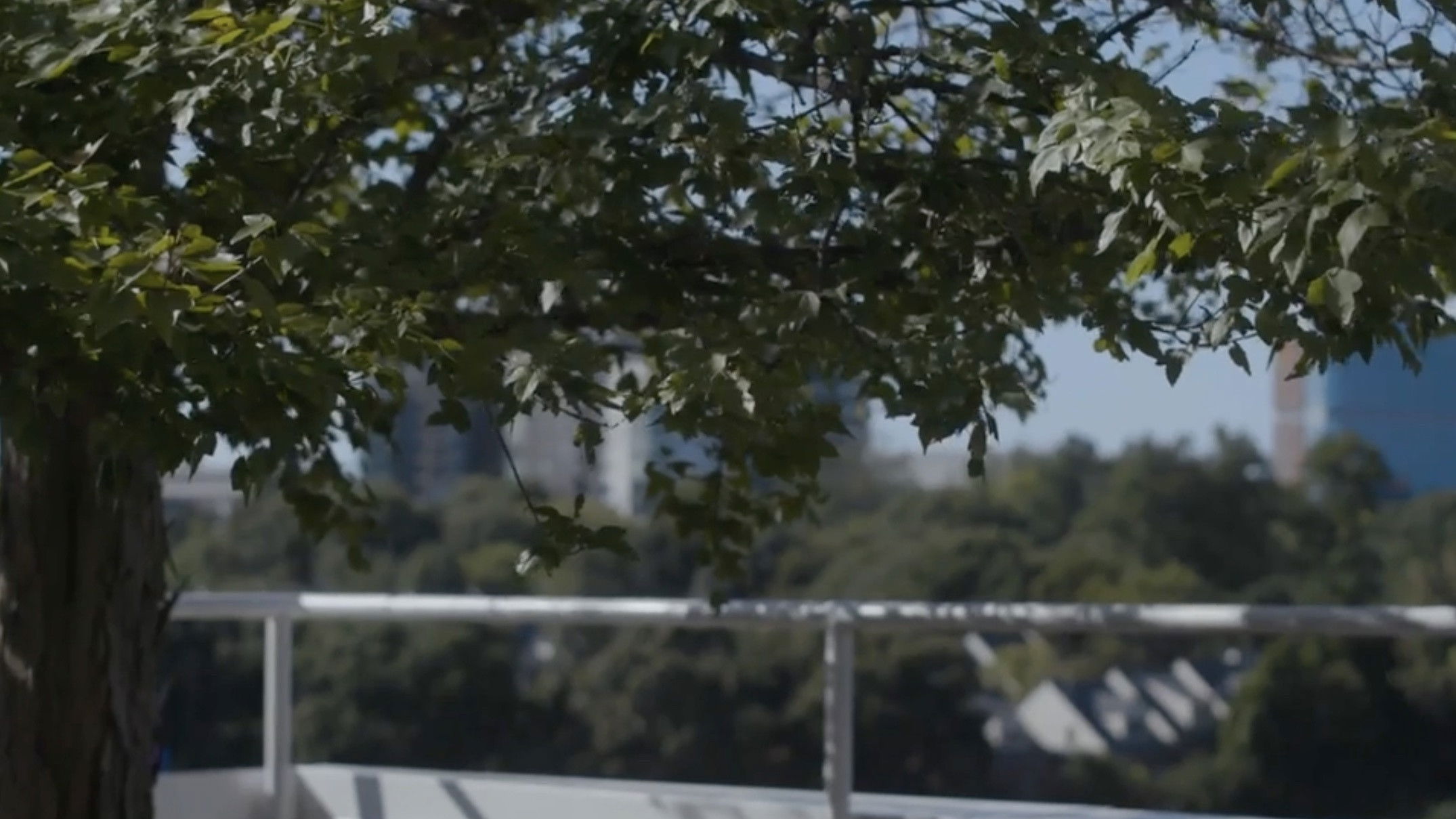 Backdrop for The City He Forgets