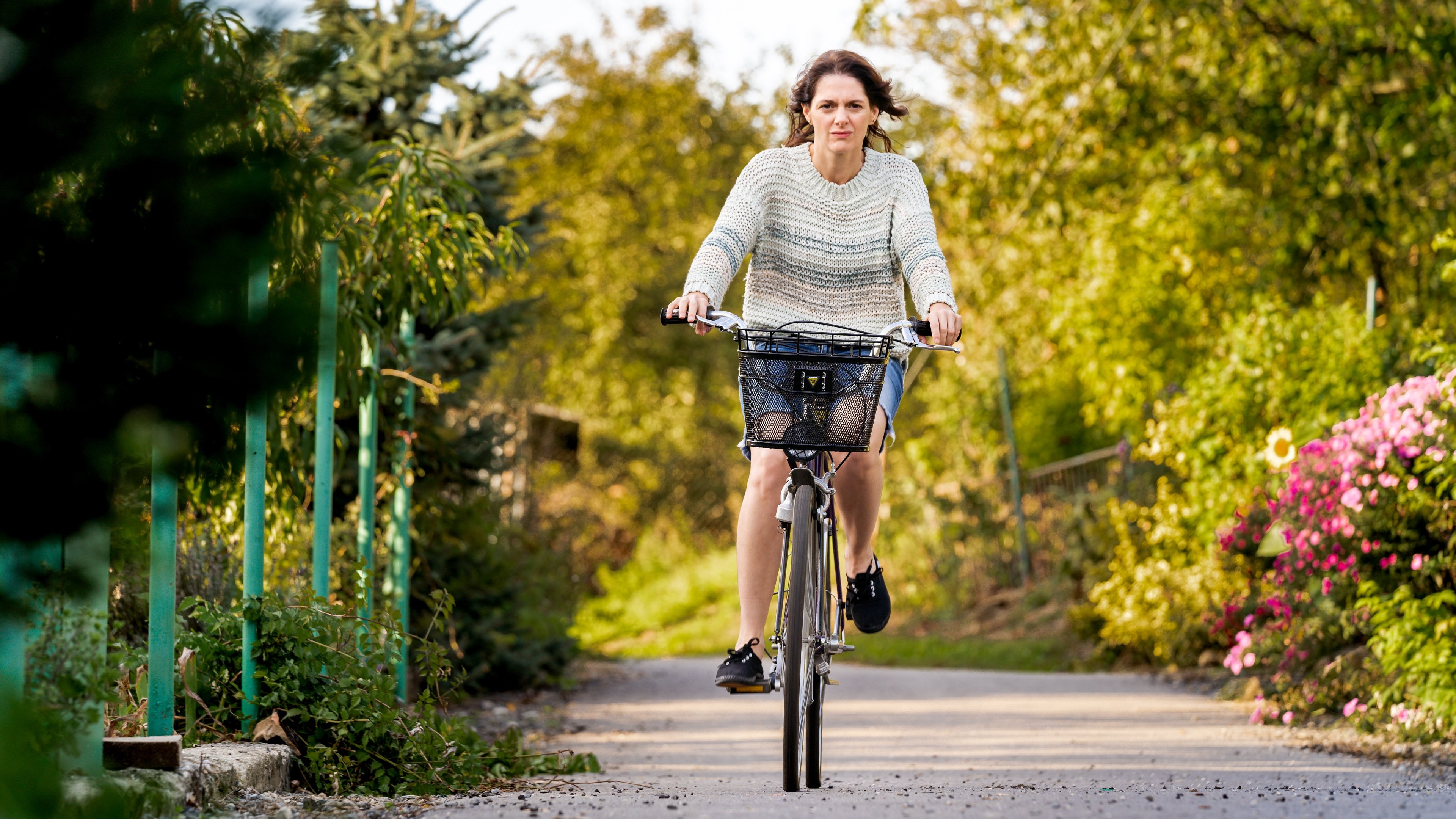 Backdrop for Silent Companion