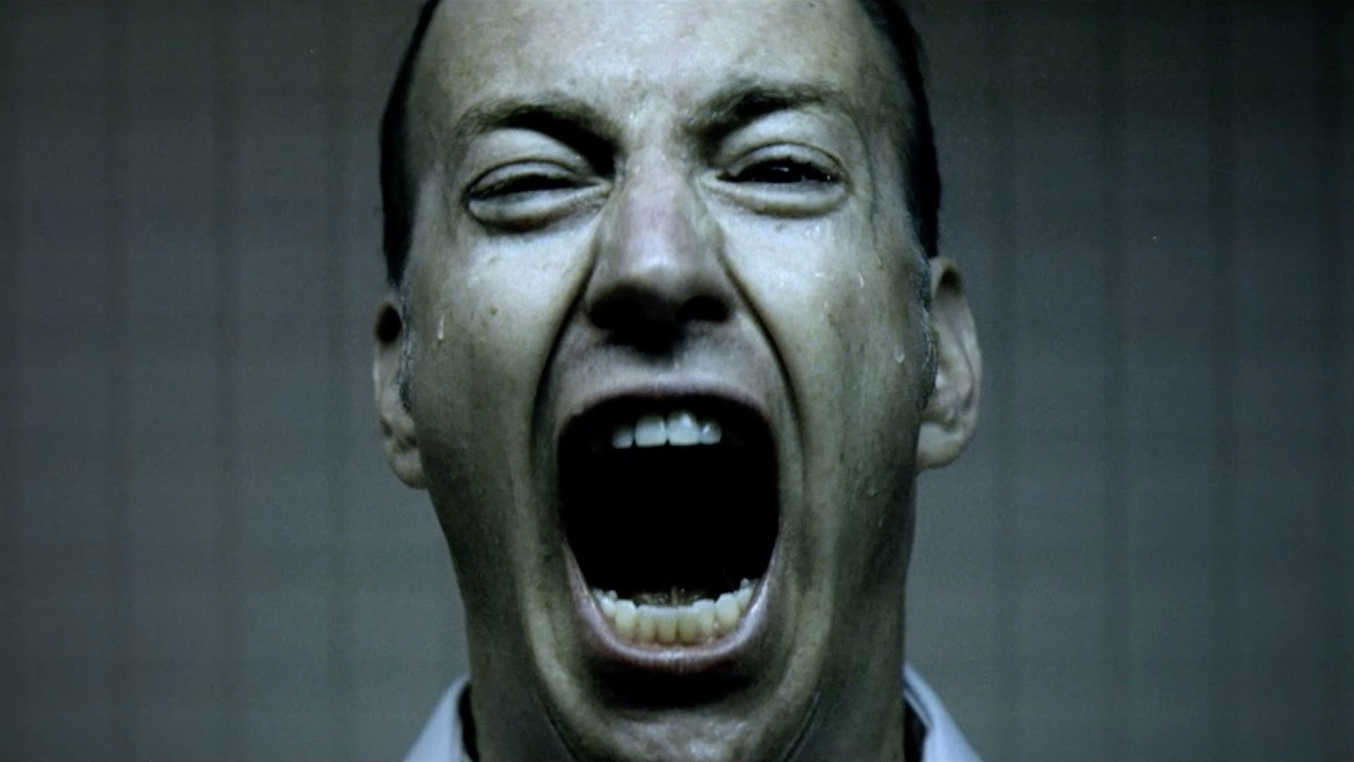 Backdrop for The Candidate