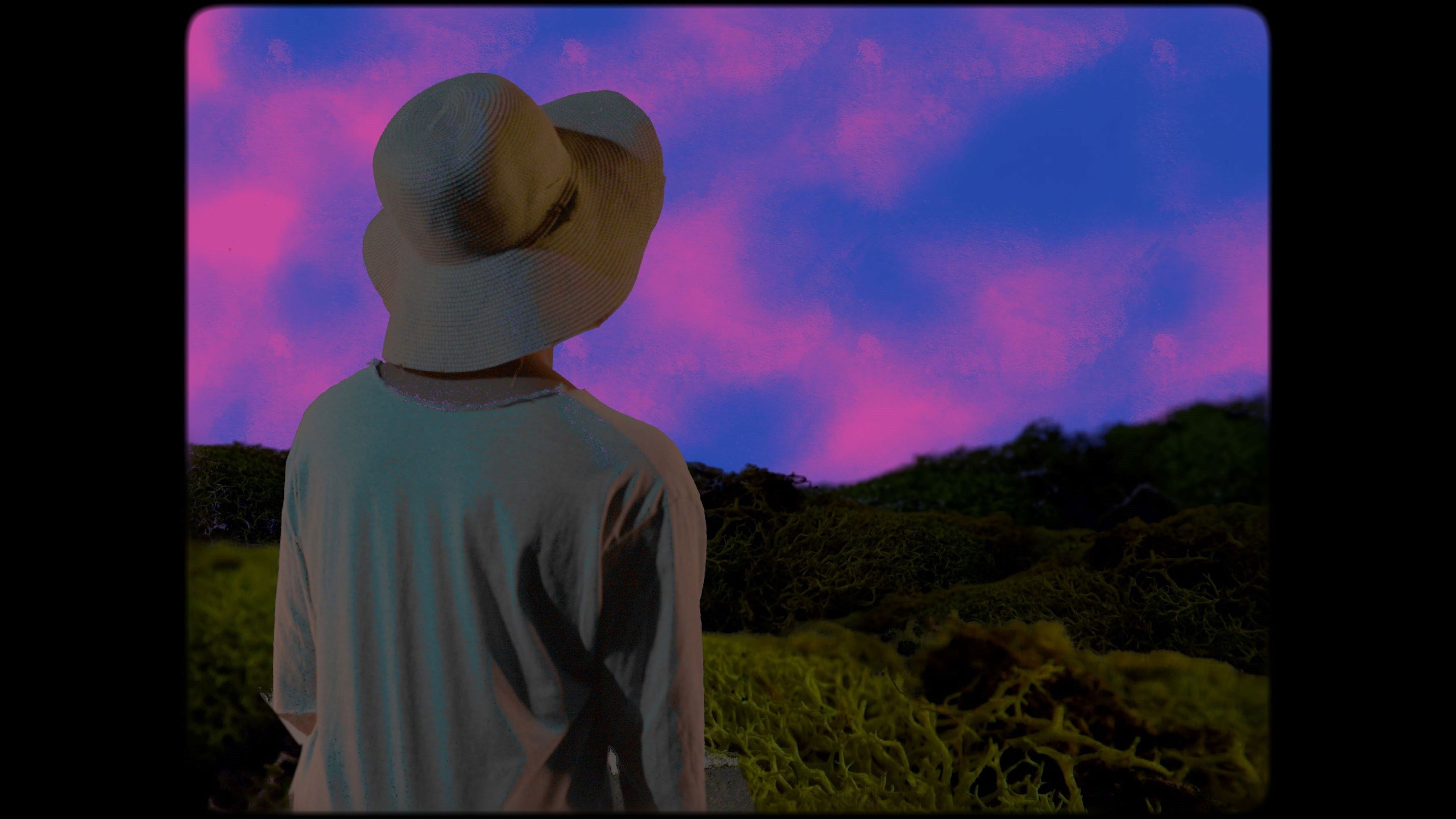 Backdrop for ScumWillie's Trail