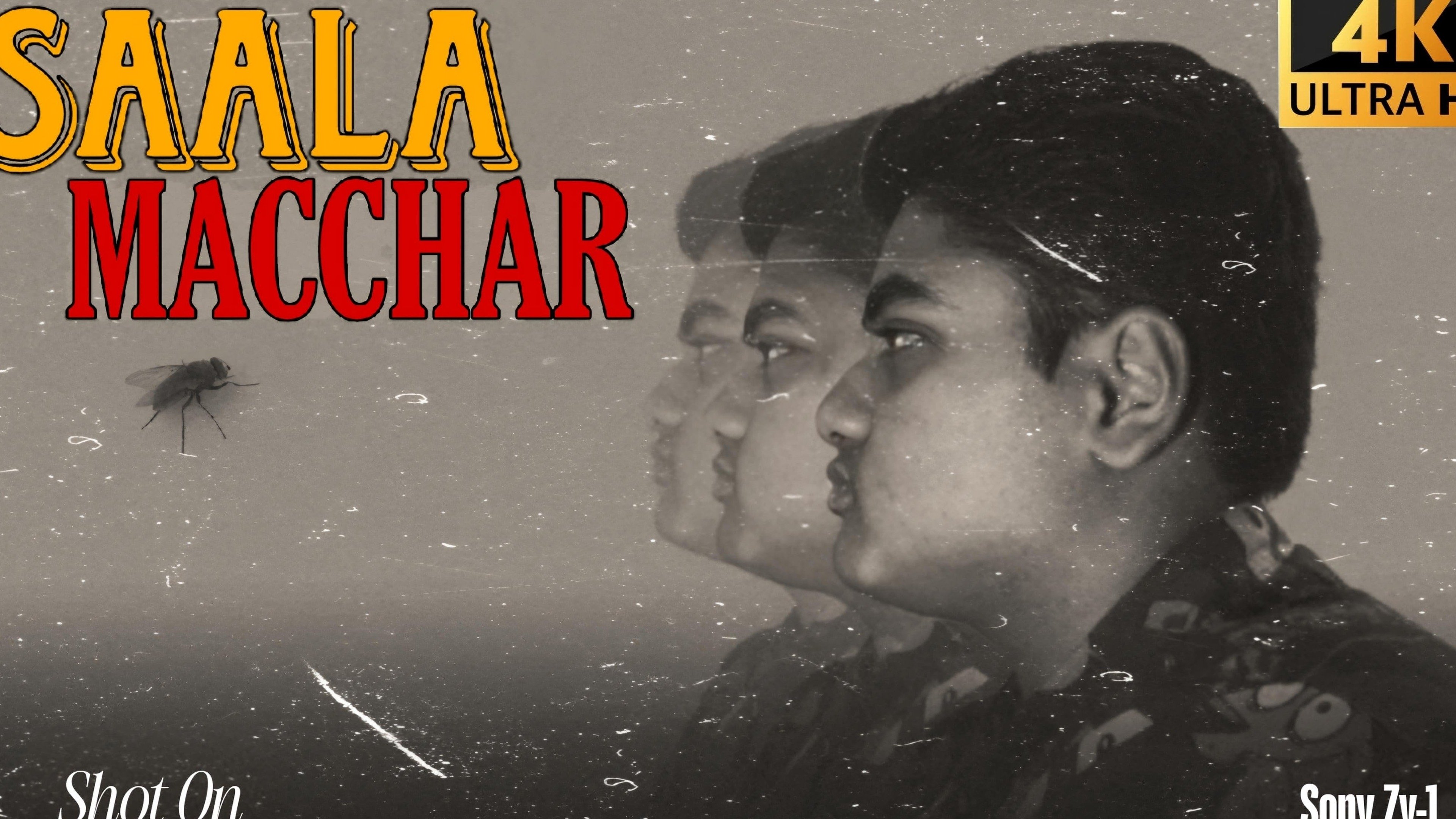 Backdrop for Bloody Mosquito