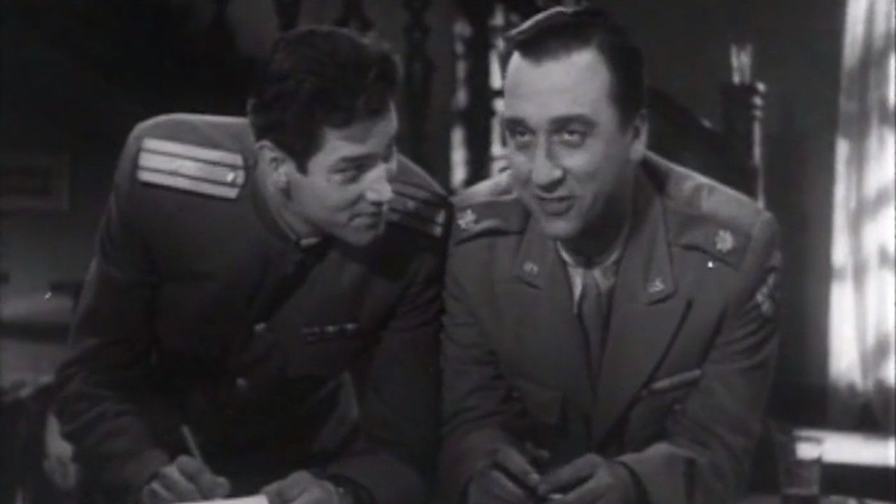 Backdrop for Meeting on the Elbe