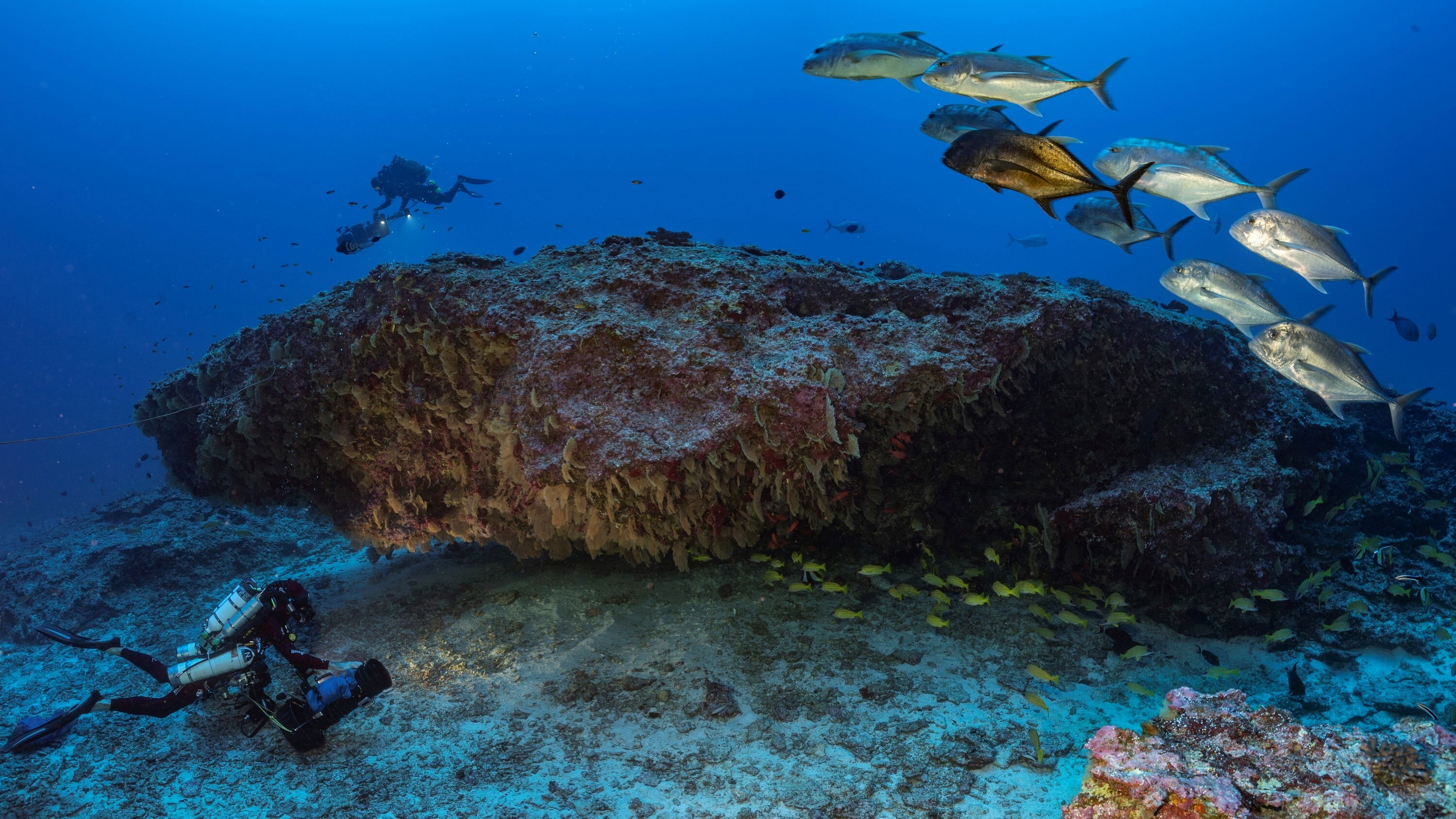 Backdrop for The mysteries of Mont La Pérouse