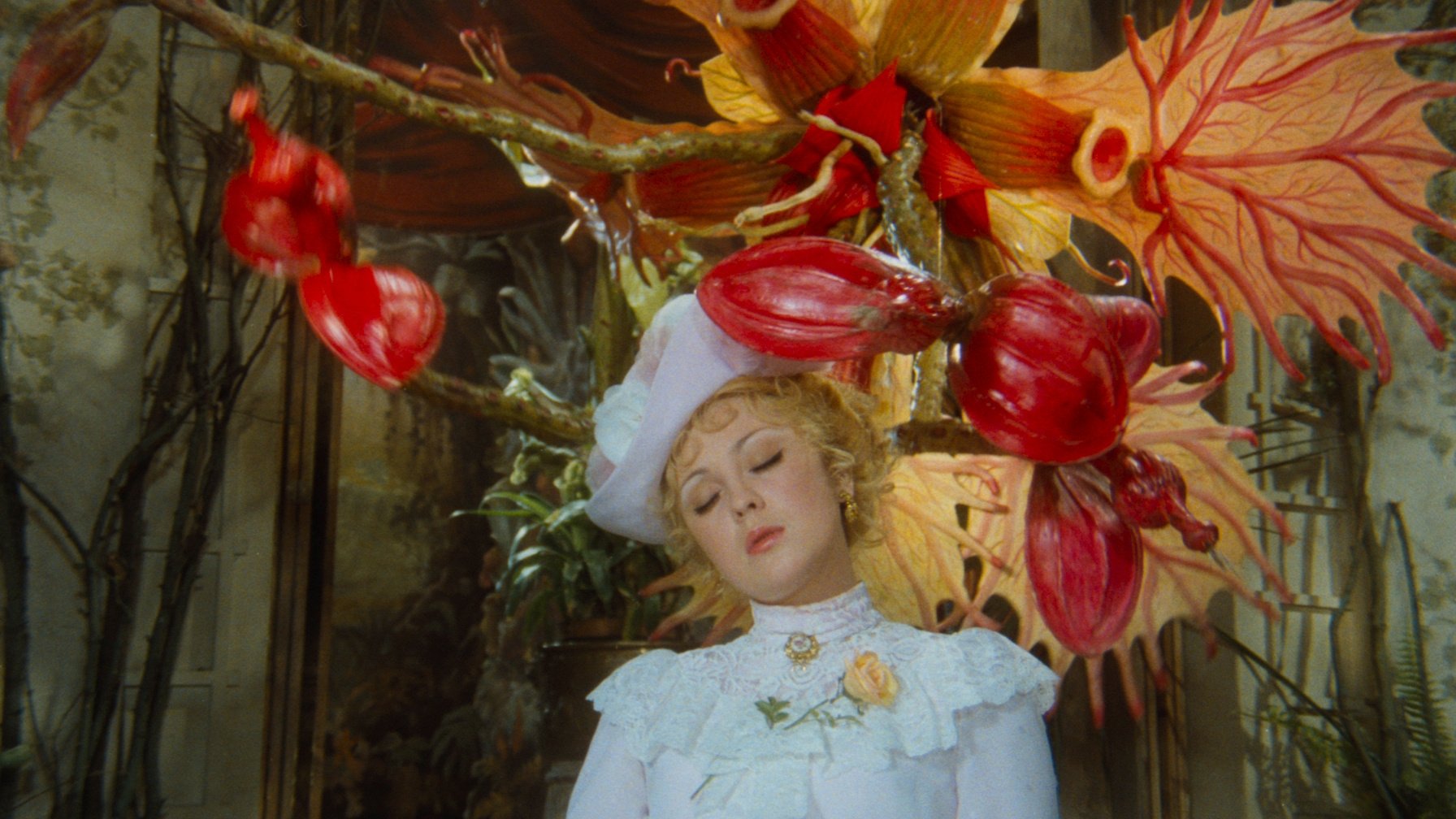 Backdrop for Adela Has Not Had Supper Yet