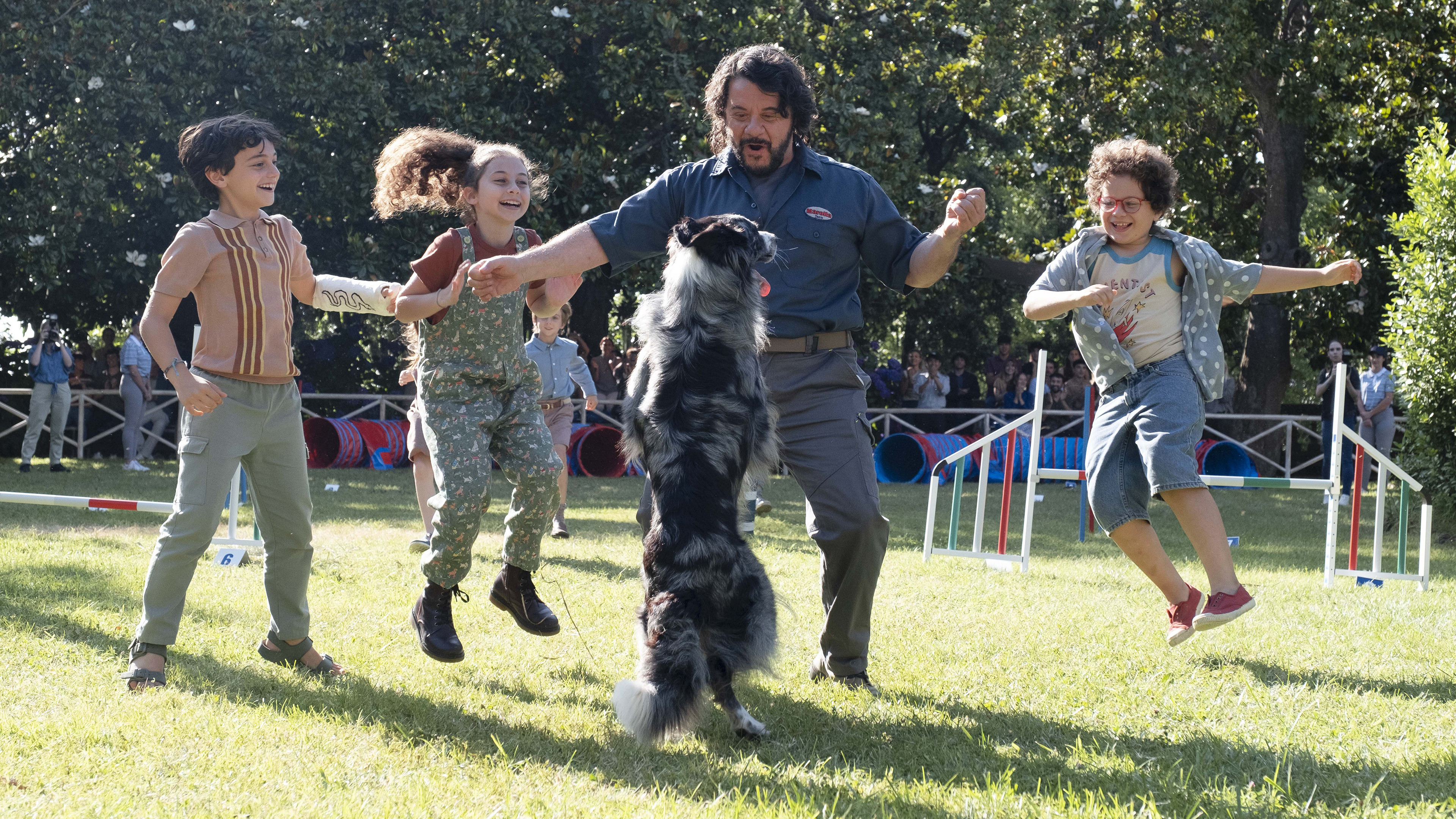 Backdrop for The Trainers