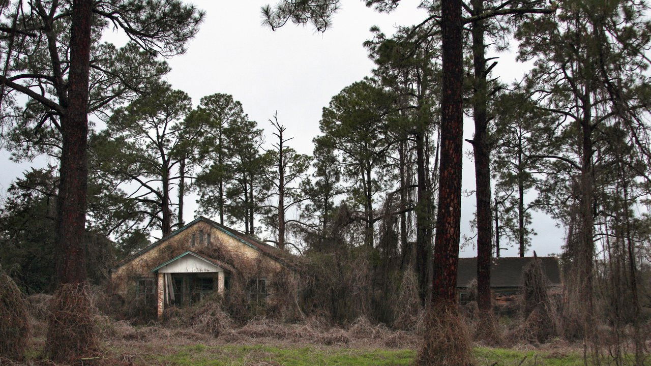 Backdrop for Deadly Secrets: The Lost Children of Dozier