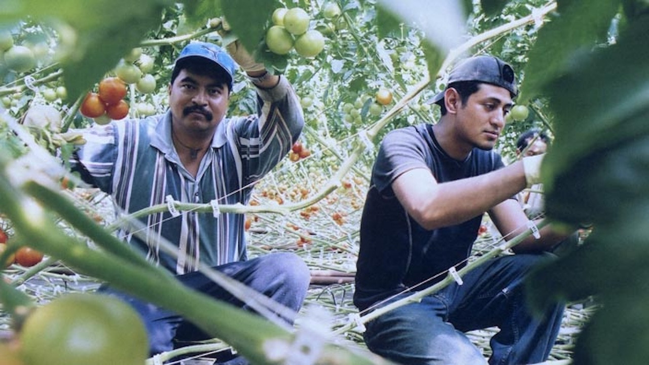 Backdrop for El Contrato