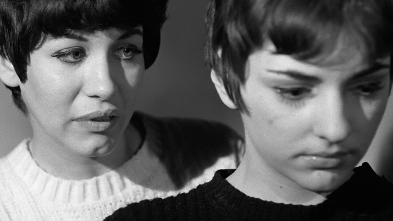 Backdrop for Vibrations