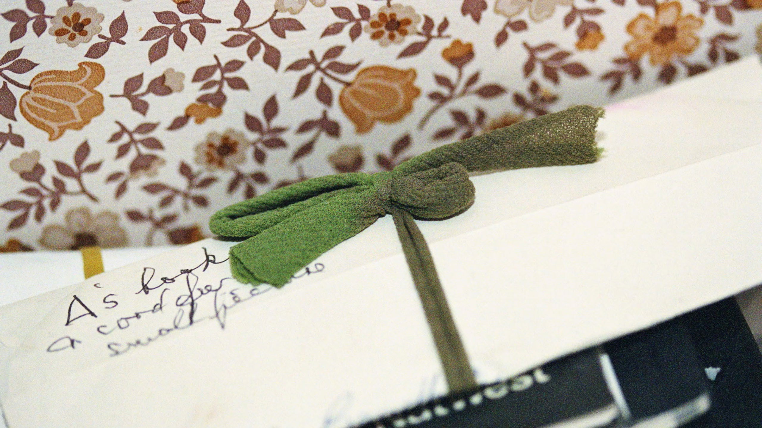 Backdrop for Taking Cuttings