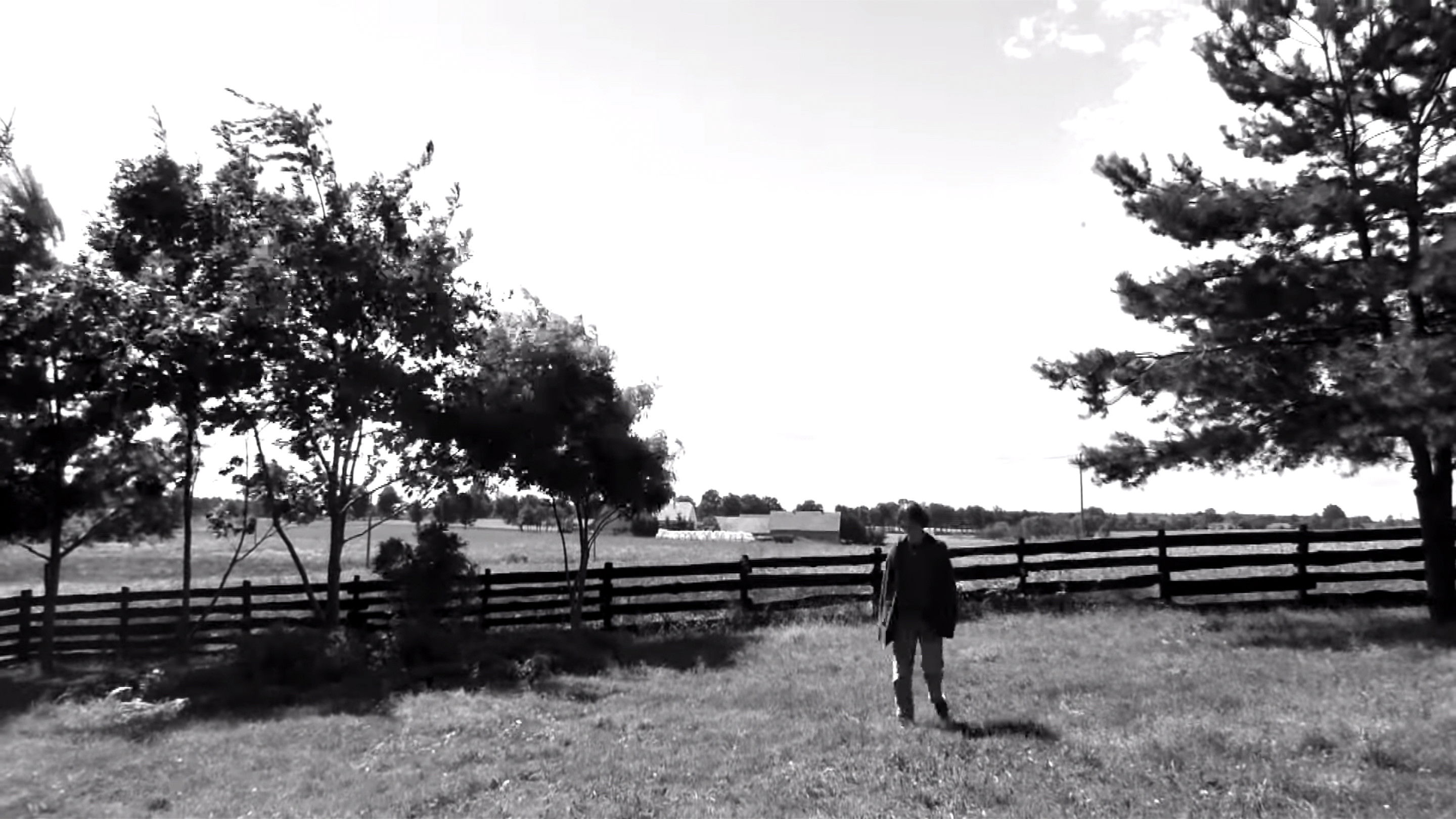 Backdrop for Klasyczne samobójstwo