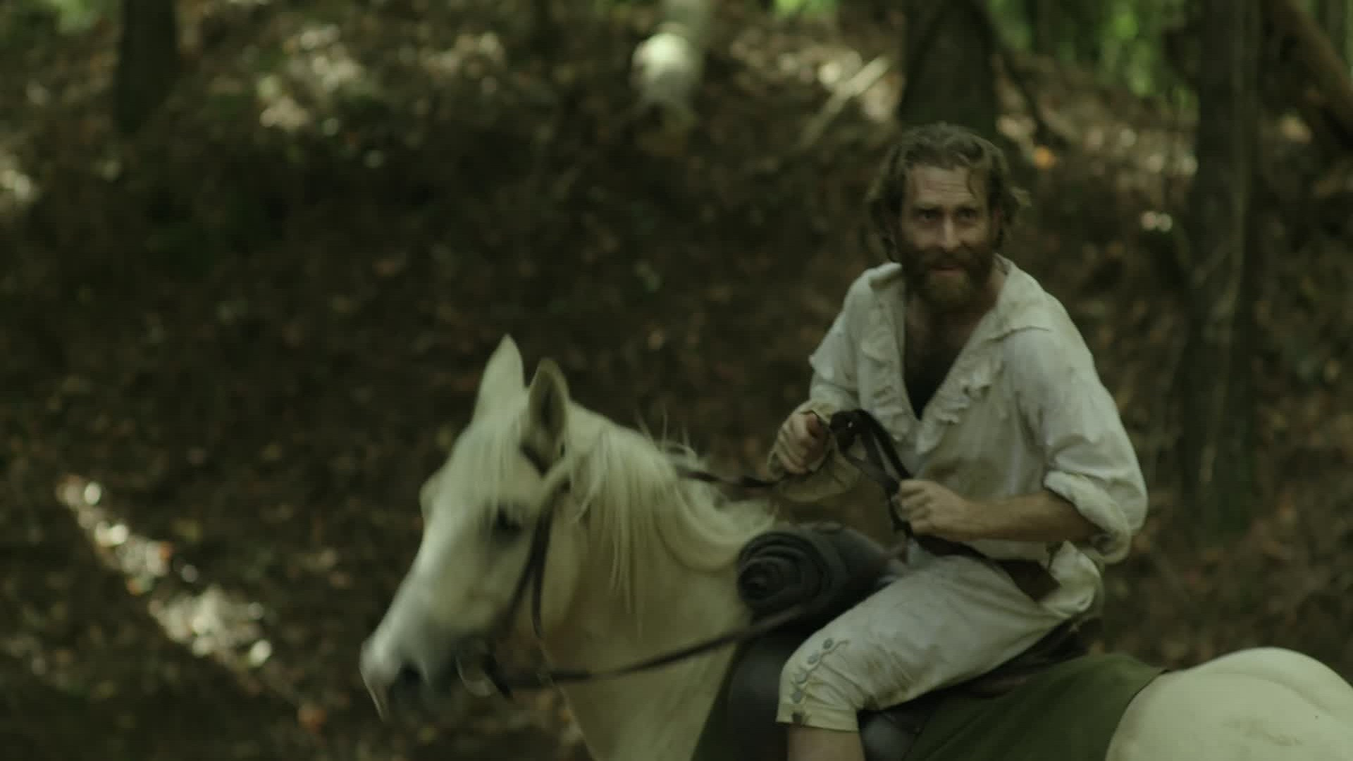 Backdrop for Tales of the Natchez Trace