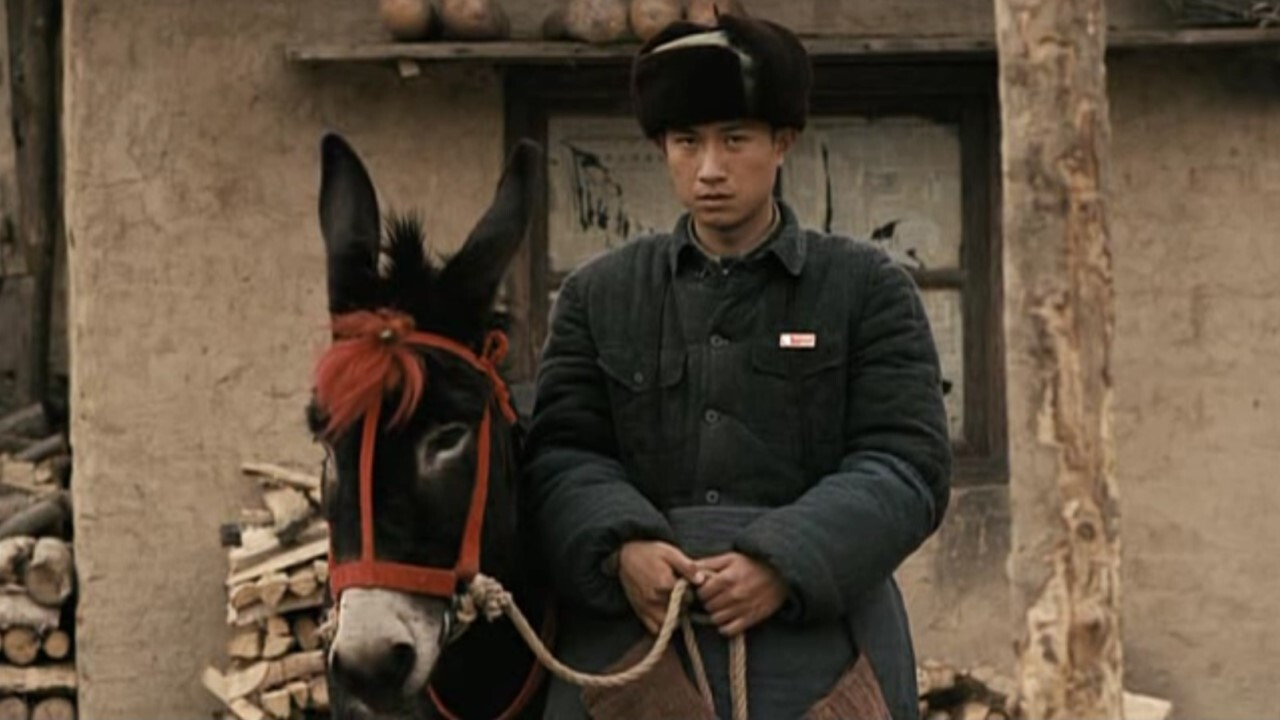 Backdrop for A Tale of Two Donkeys