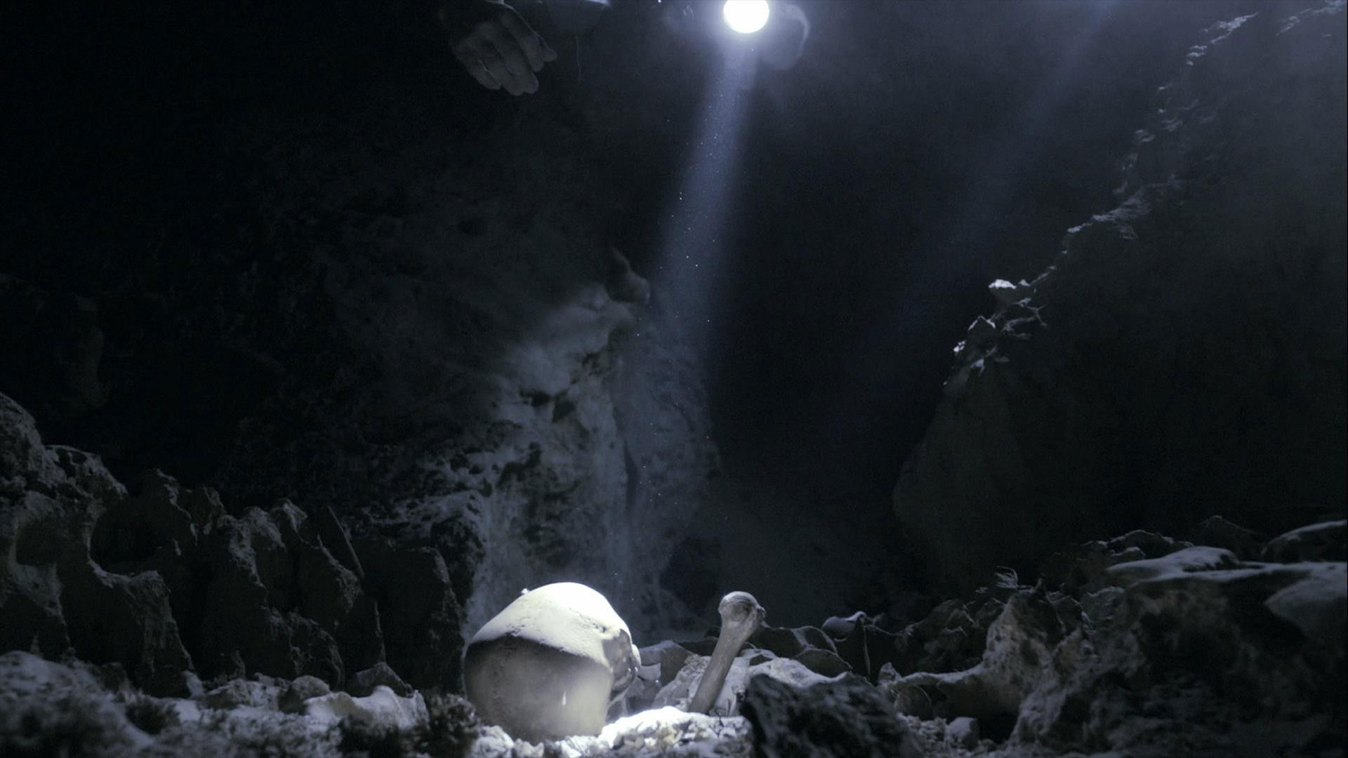 Backdrop for NOVA: First Face of America