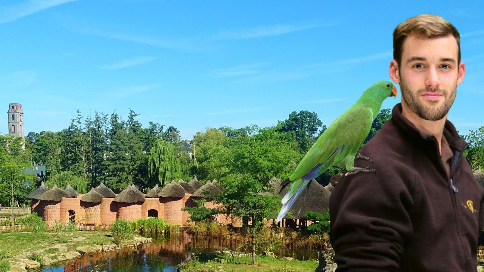 Backdrop for Expédition Pairi Daiza