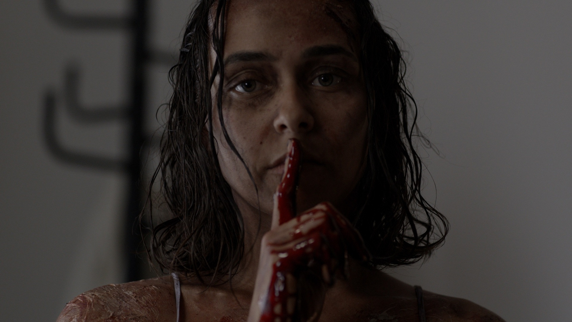 Backdrop for It Will Find You