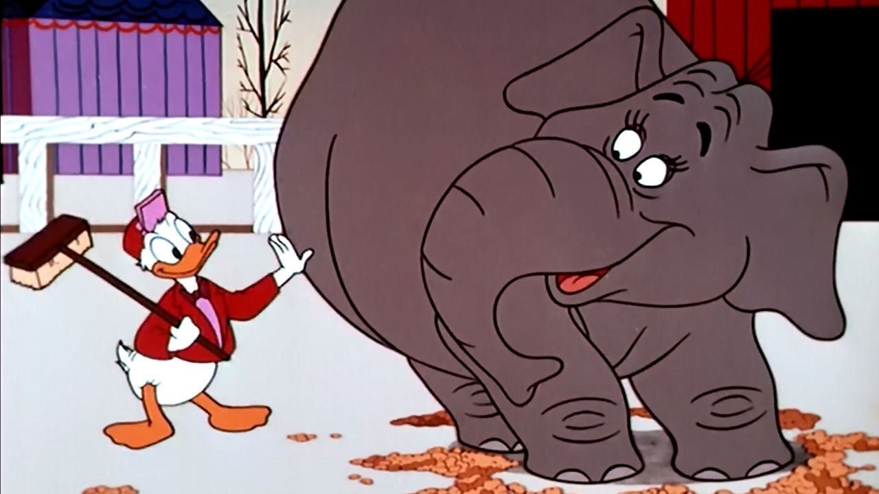 Backdrop for Working for Peanuts