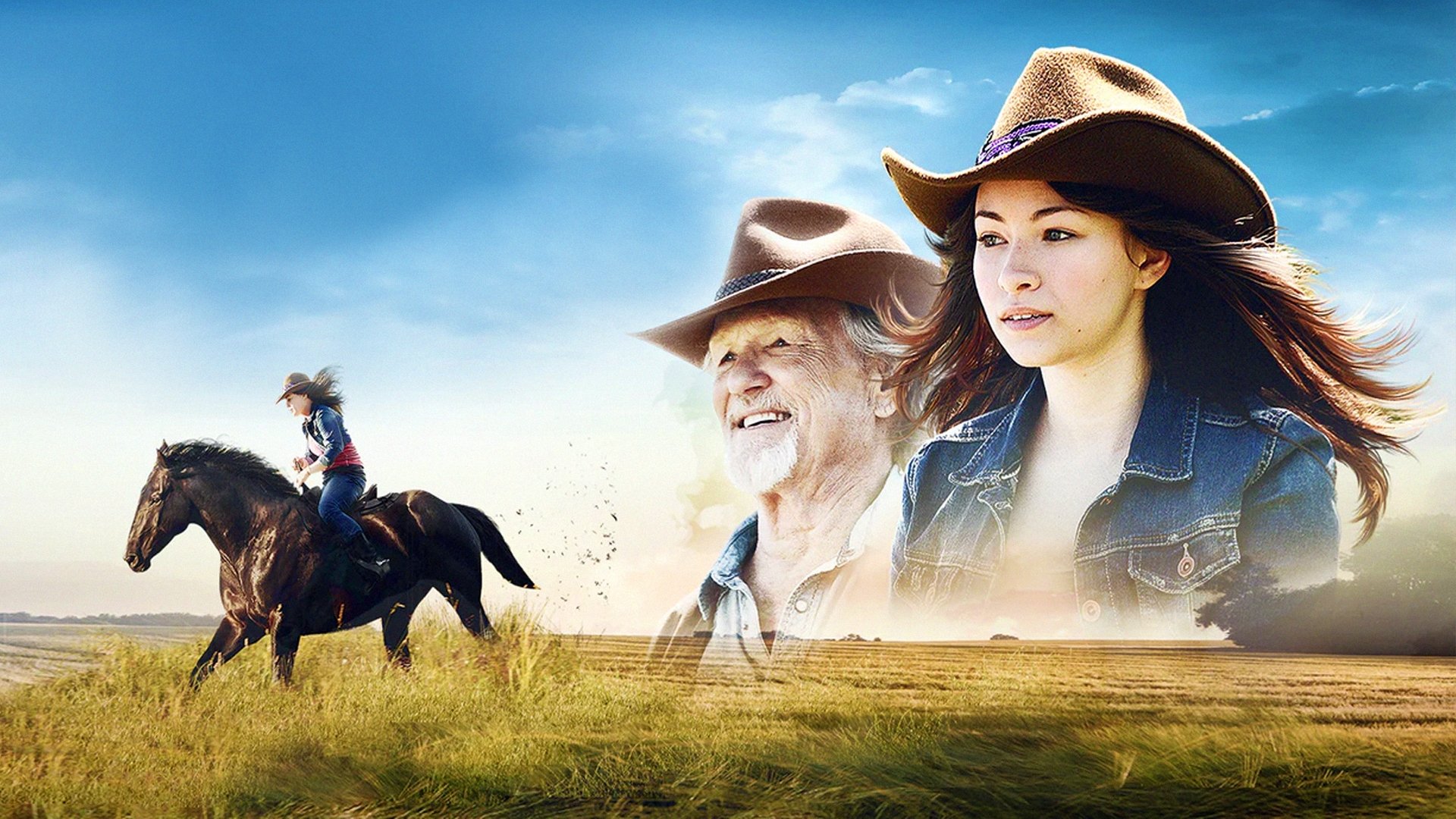 Backdrop for Midnight Stallion