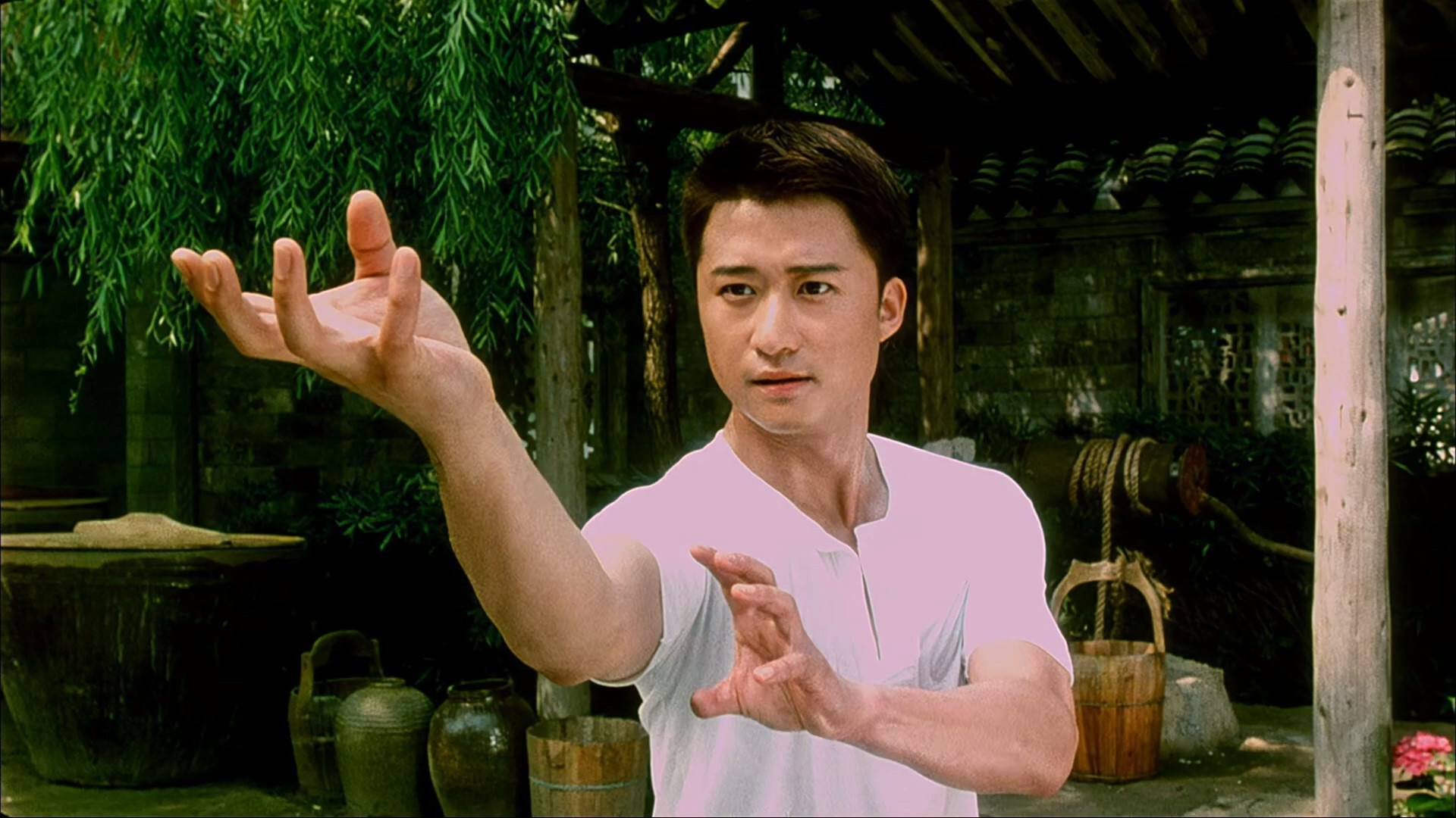 Backdrop for Drunken Monkey