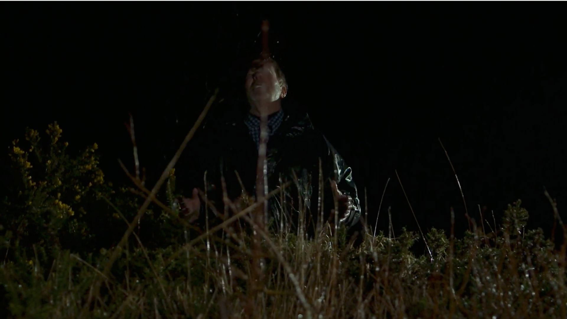 Backdrop for E.I.E.I.O