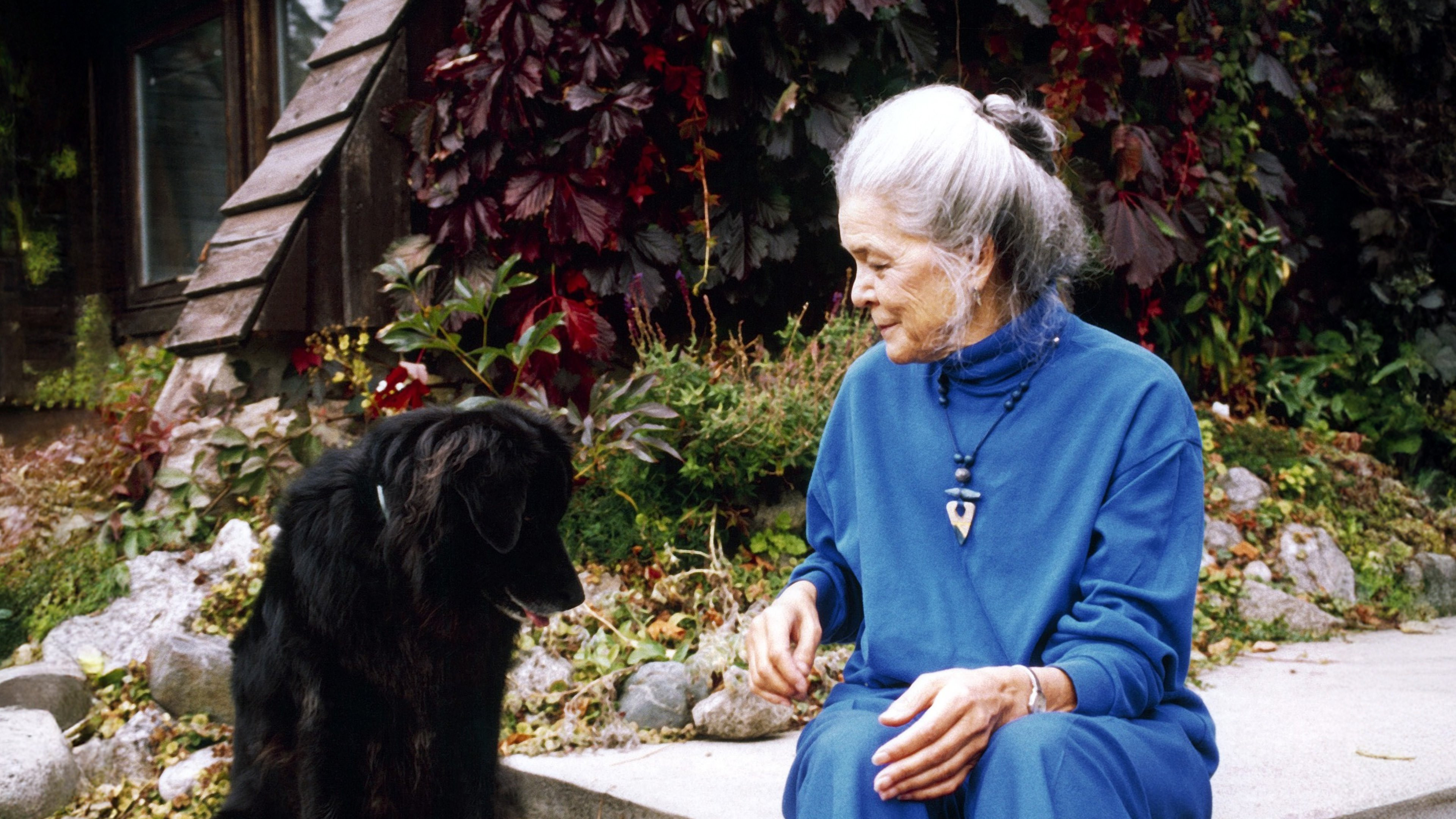 Backdrop for Kathleen Shannon: On Film, Feminism & Other Dreams