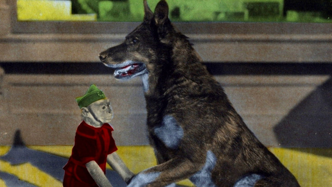 Backdrop for Rinty of the Desert