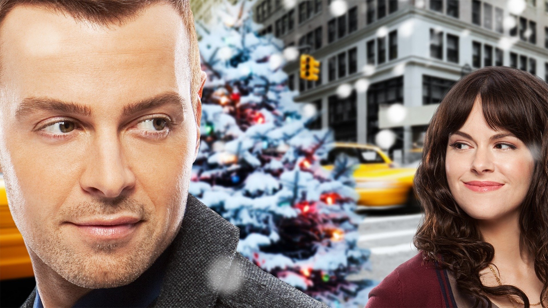 Backdrop for Hitched for the Holidays