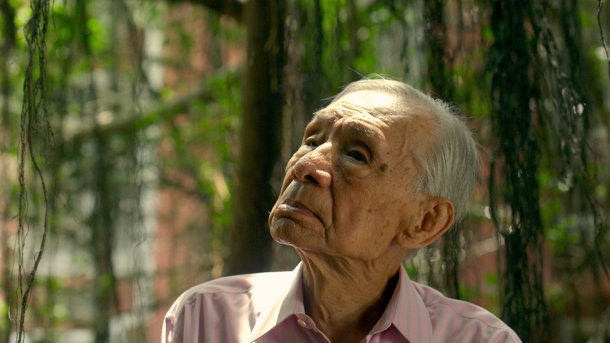 Backdrop for The Moon and the Tree