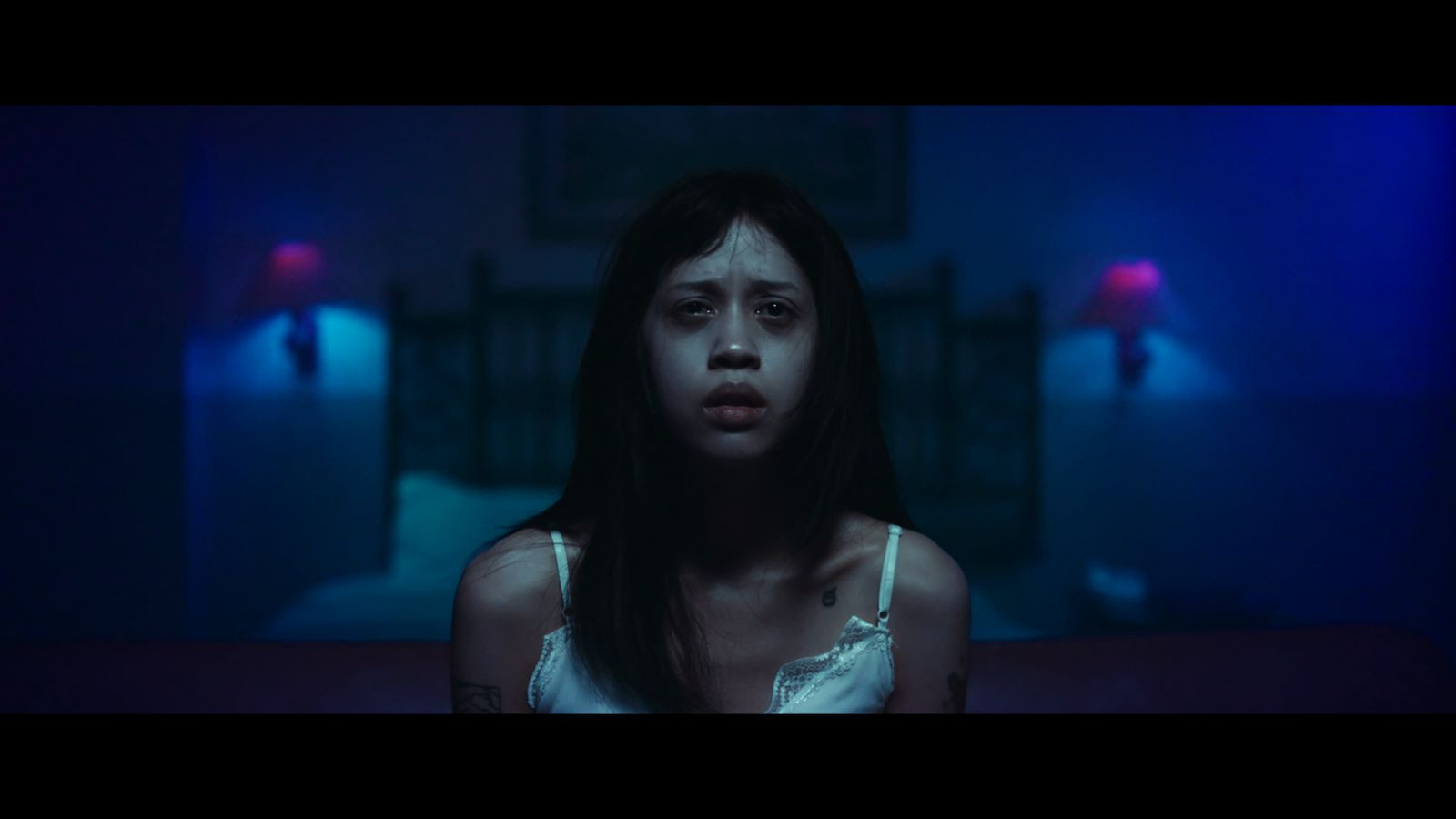 Backdrop for Maya's Phenomenon