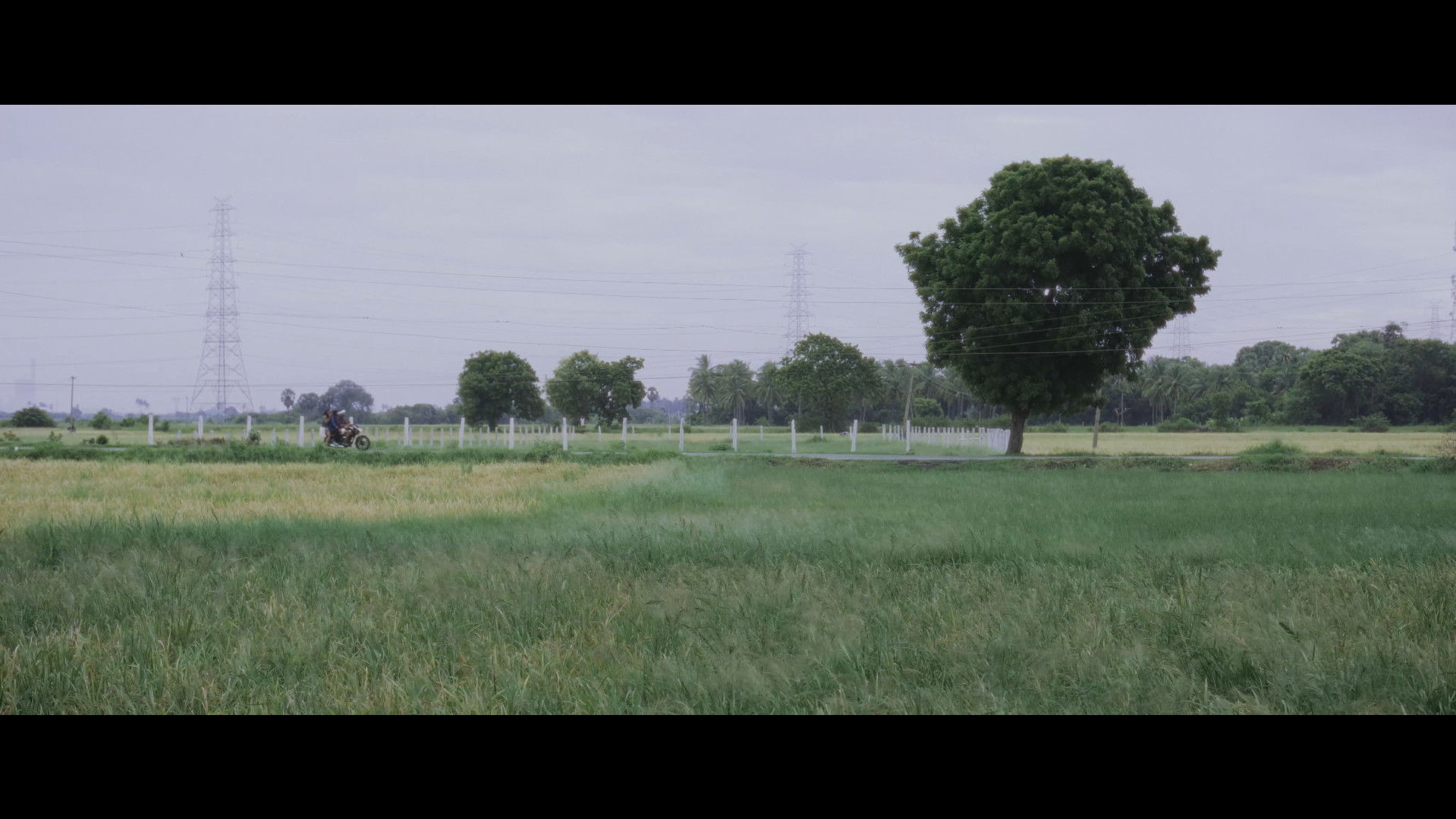 Backdrop for The Show Man