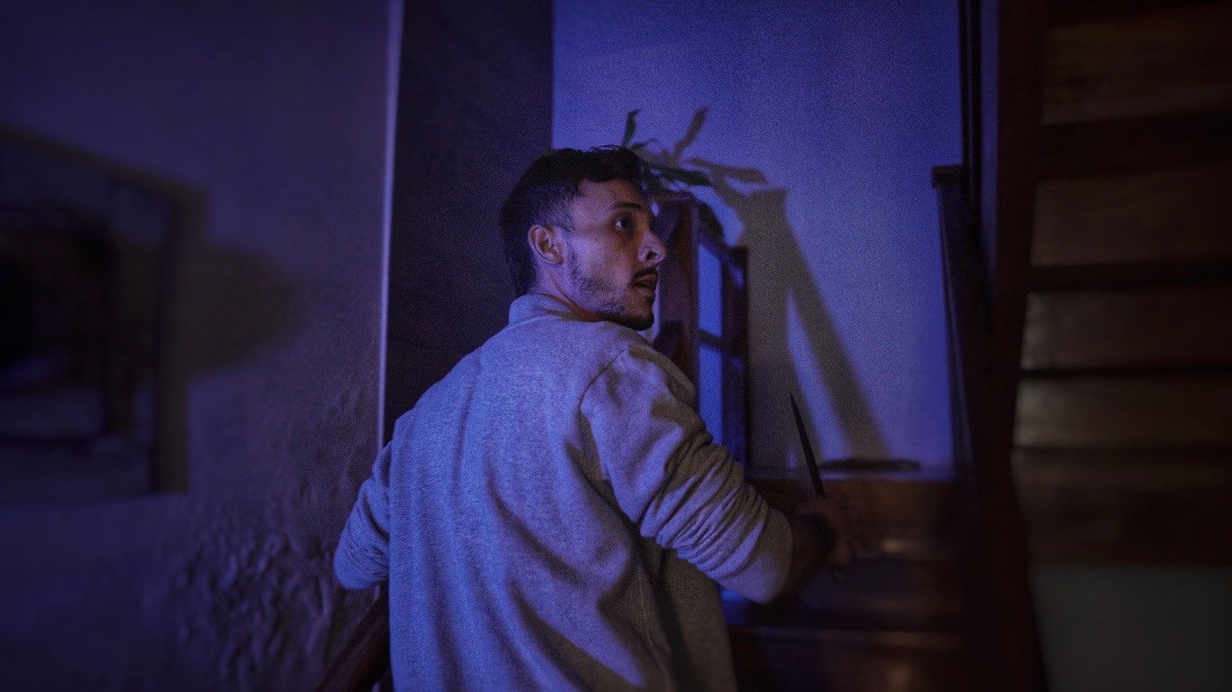 Backdrop for A Floresta