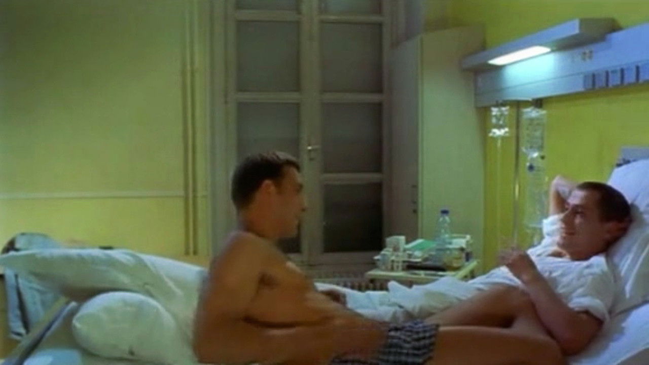 Backdrop for An Ordinary Night