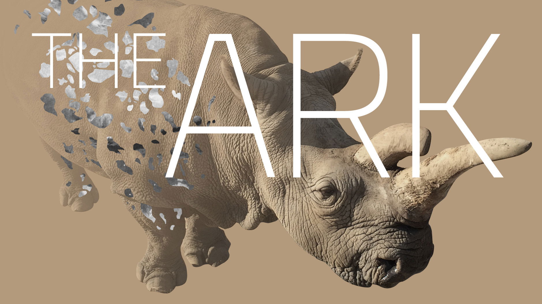 Backdrop for The Ark