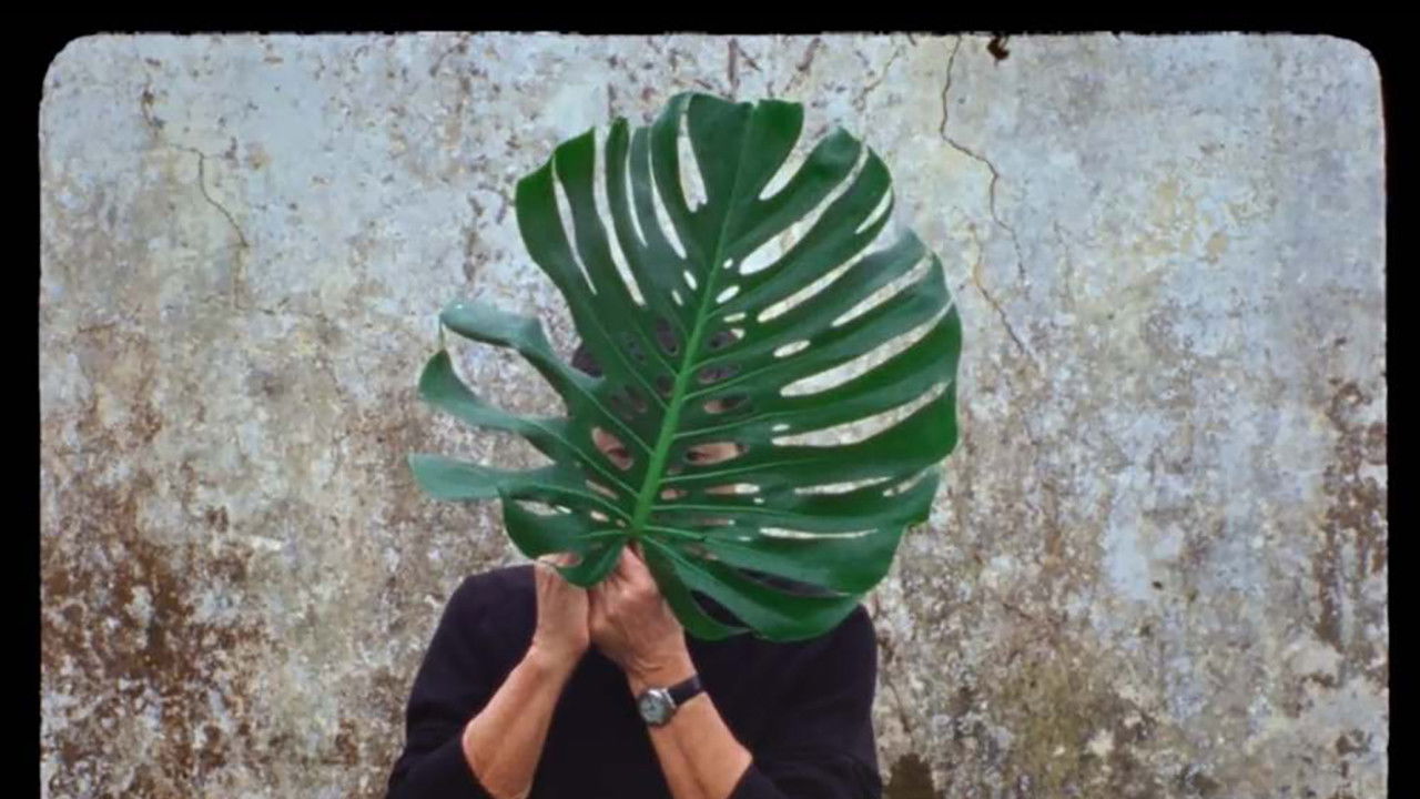 Backdrop for Around the World When You Were My Age