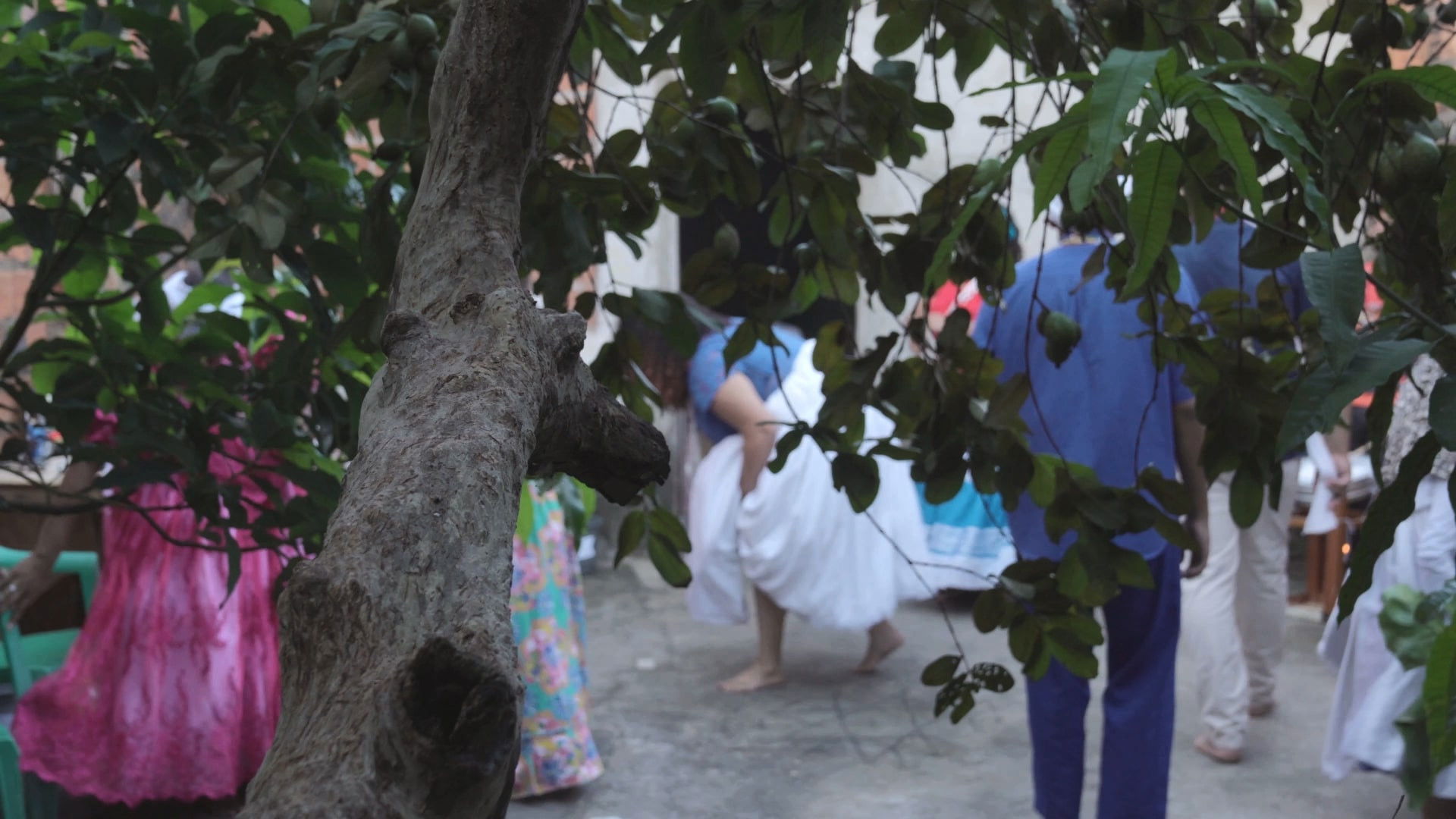 Backdrop for Sealed in Scars