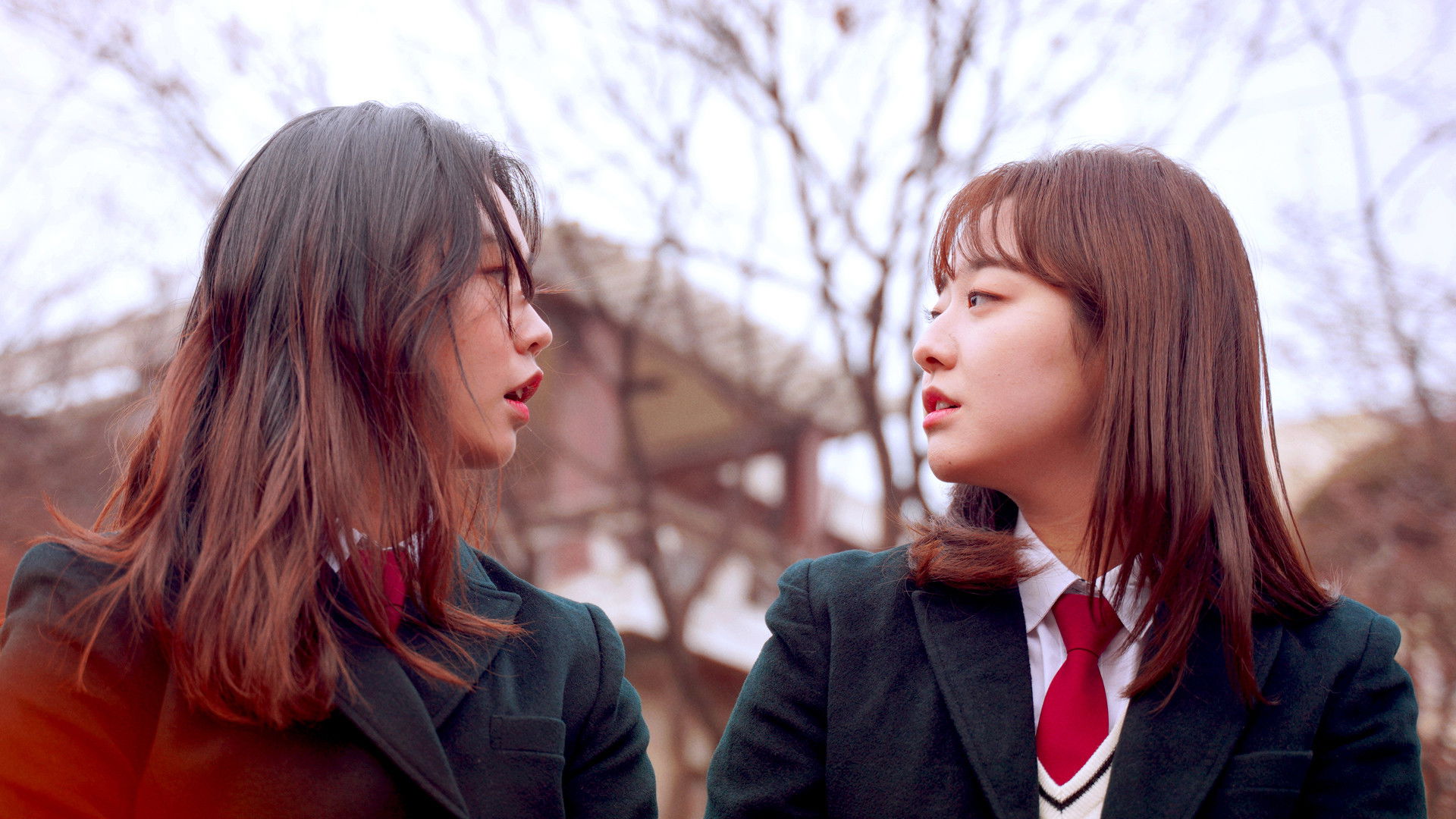 Backdrop for Graduation, Present + Propose