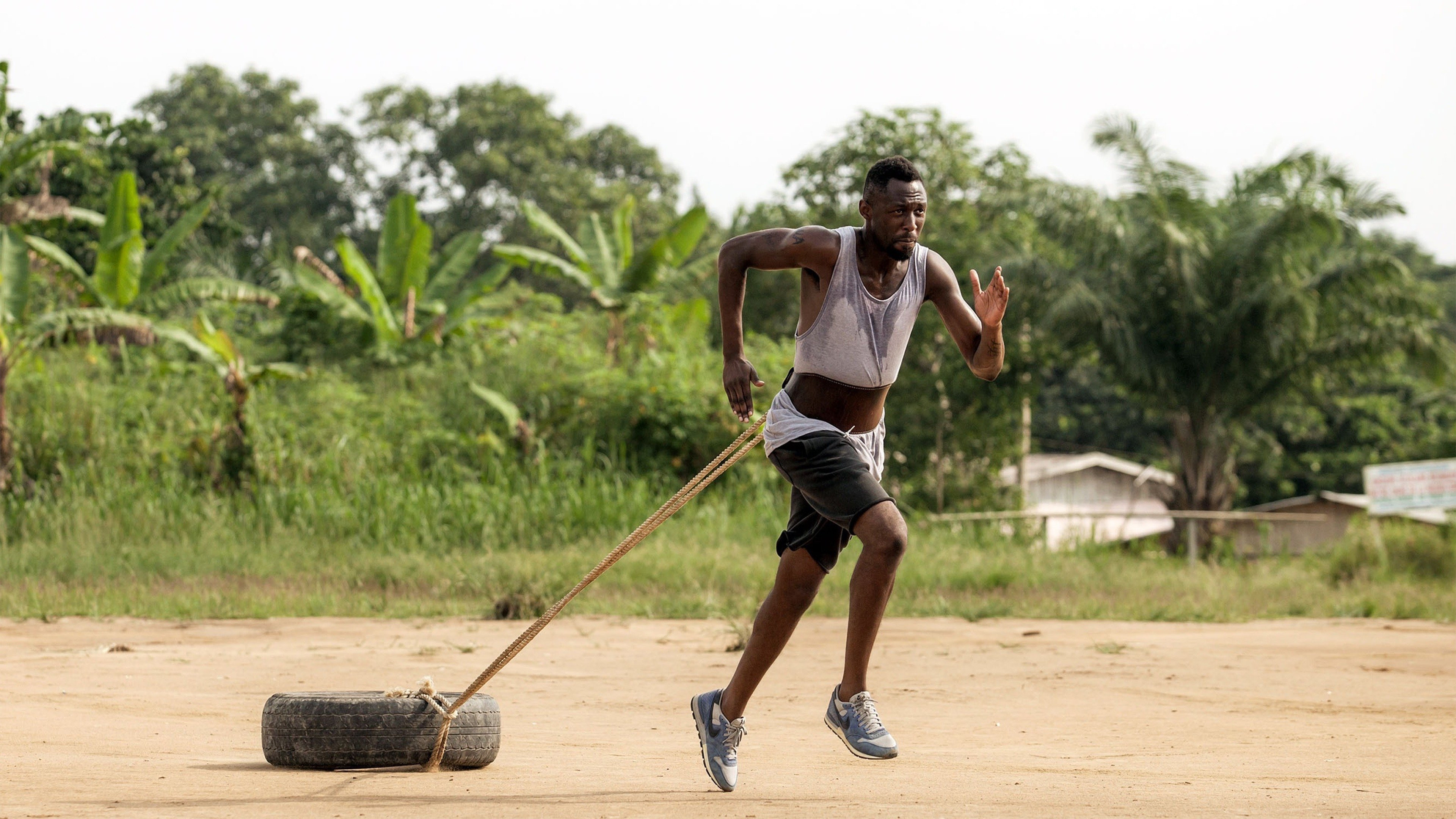 Backdrop for Fastlife