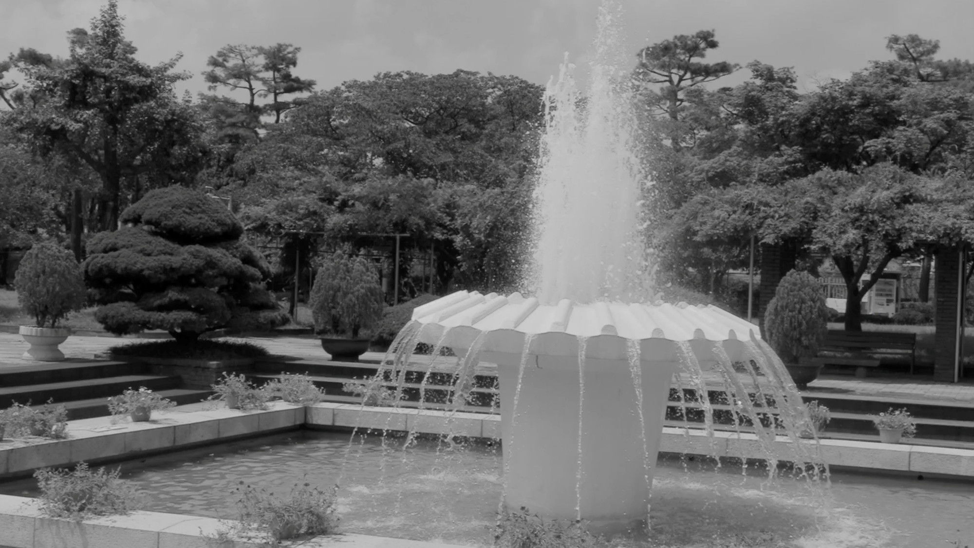 Backdrop for At the Park