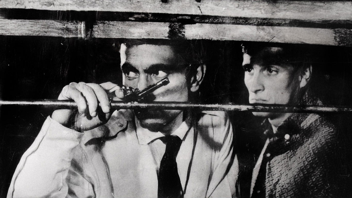 Backdrop for Zımba Gibi Delikanlı