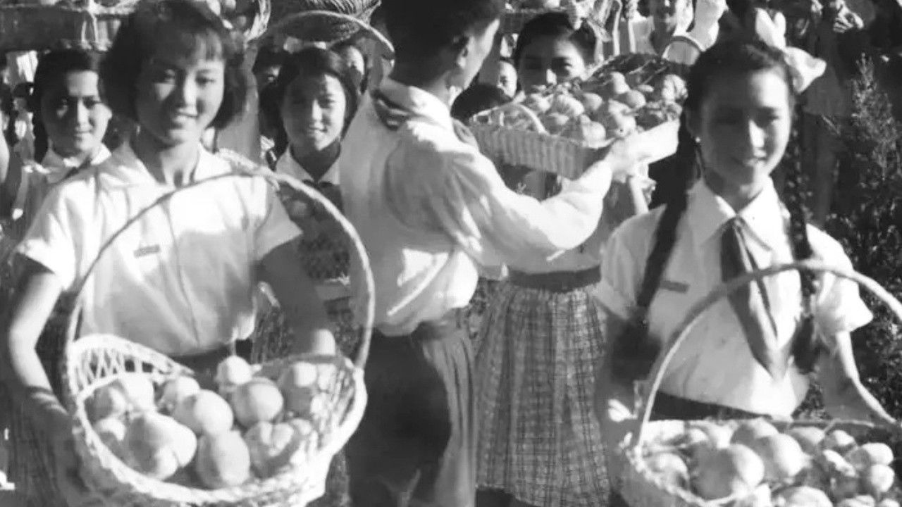 Backdrop for The Garden of Youth