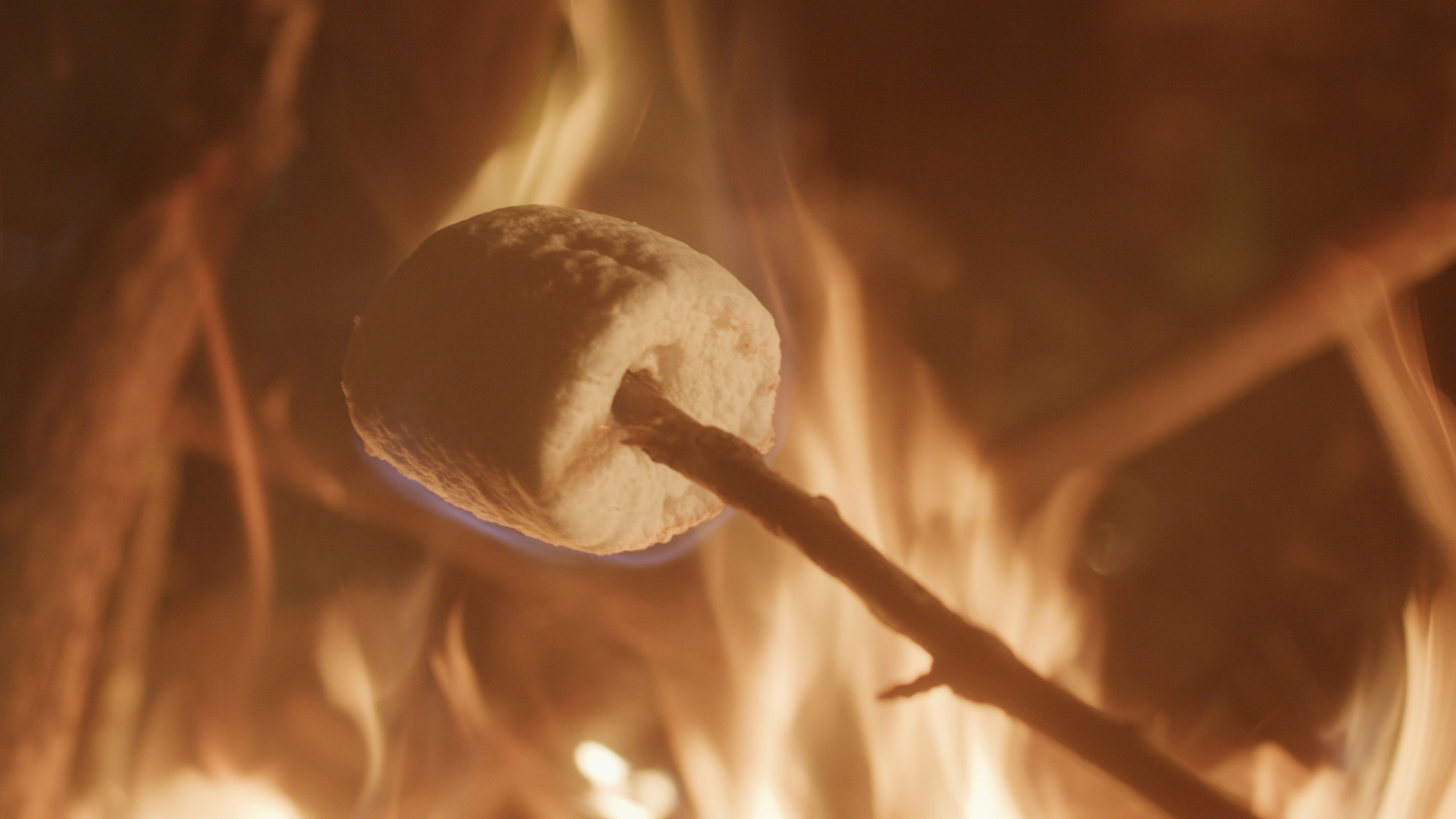 Backdrop for By the Campfire