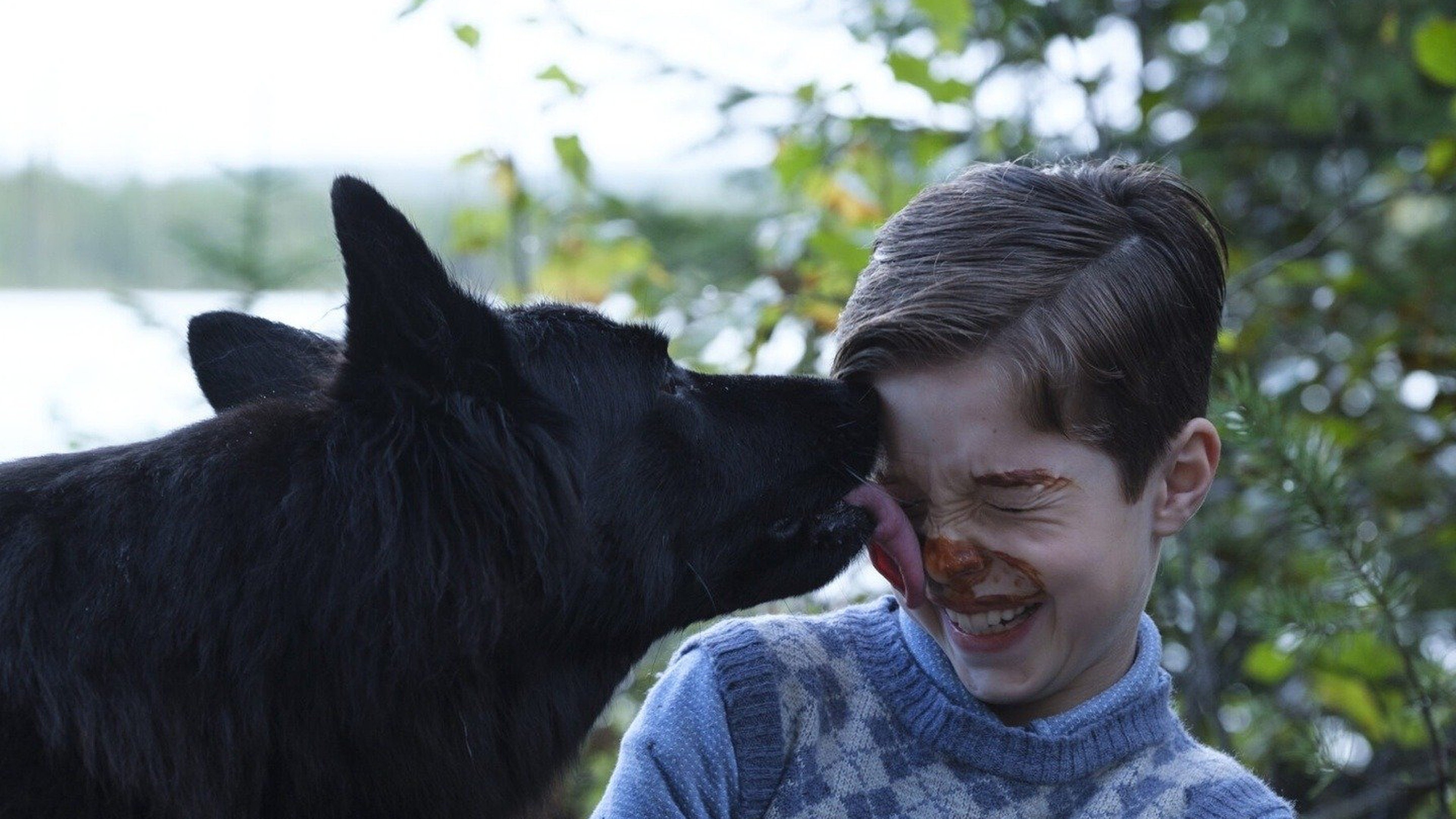 Backdrop for Adventures in the Land of Asha