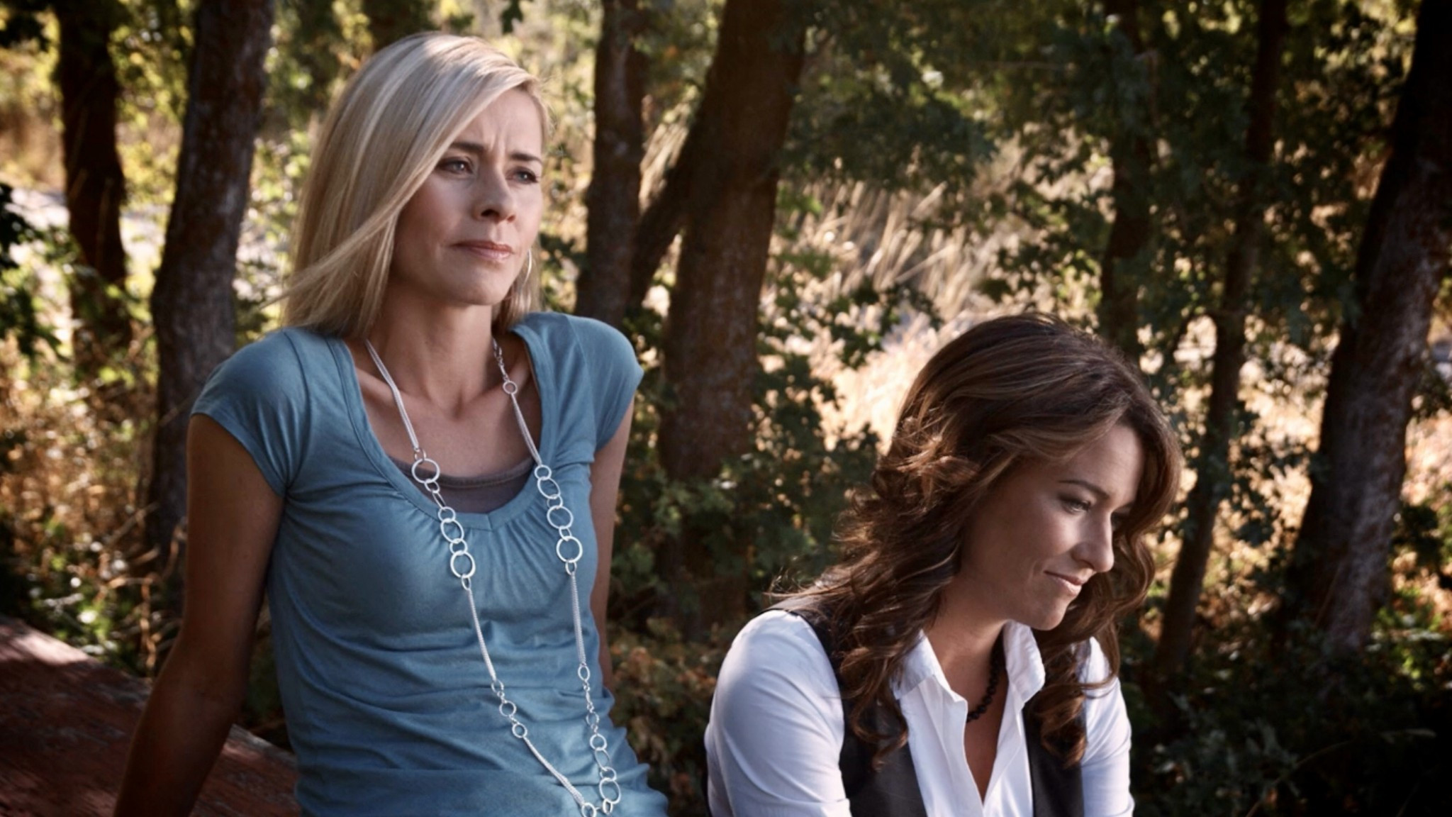 Backdrop for Once Upon a Summer