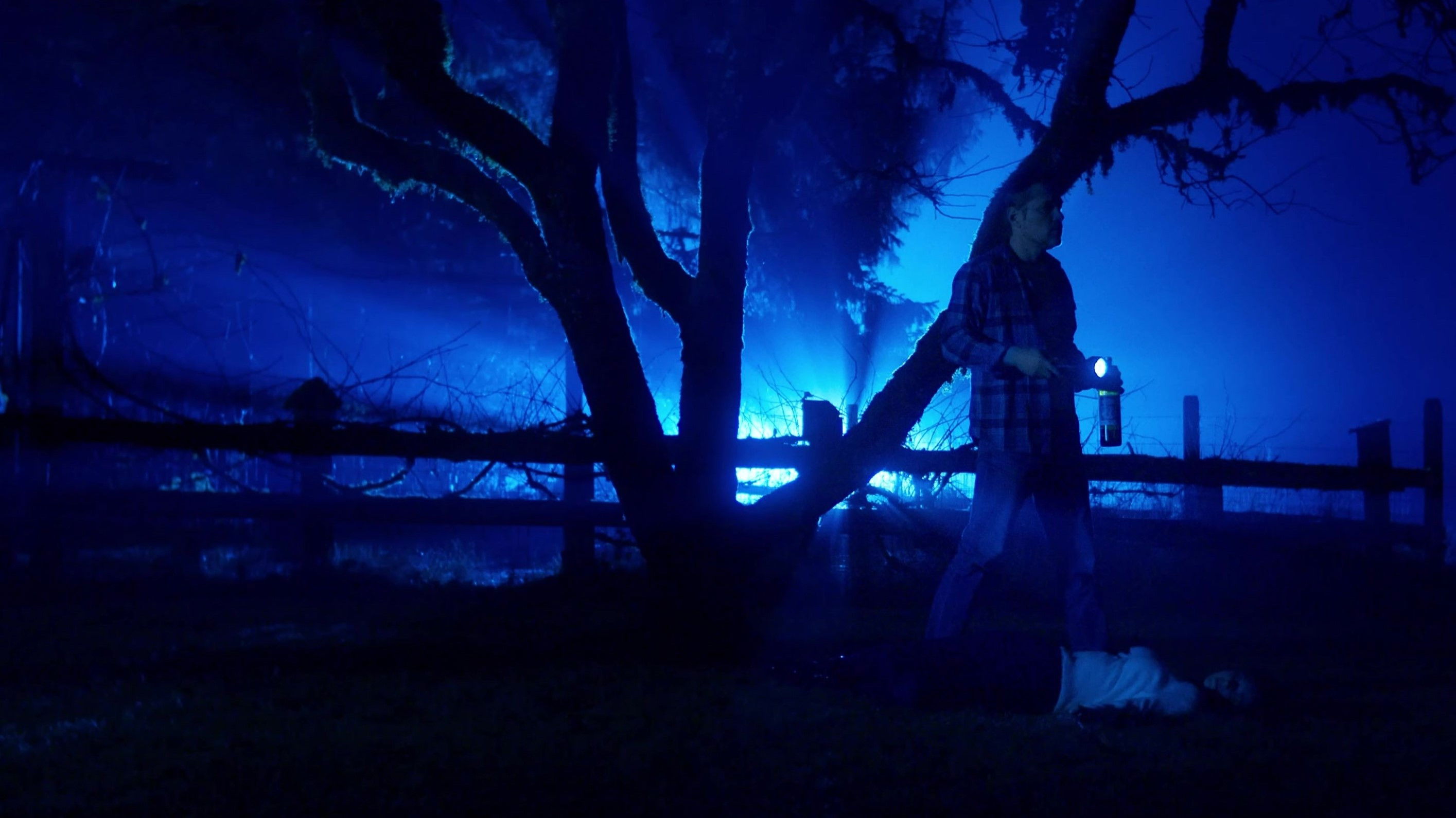 Backdrop for Bigfoot Killed My Wife