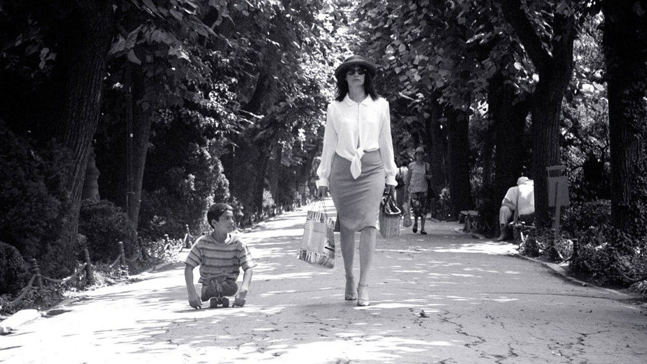 Backdrop for The Wild Dogs