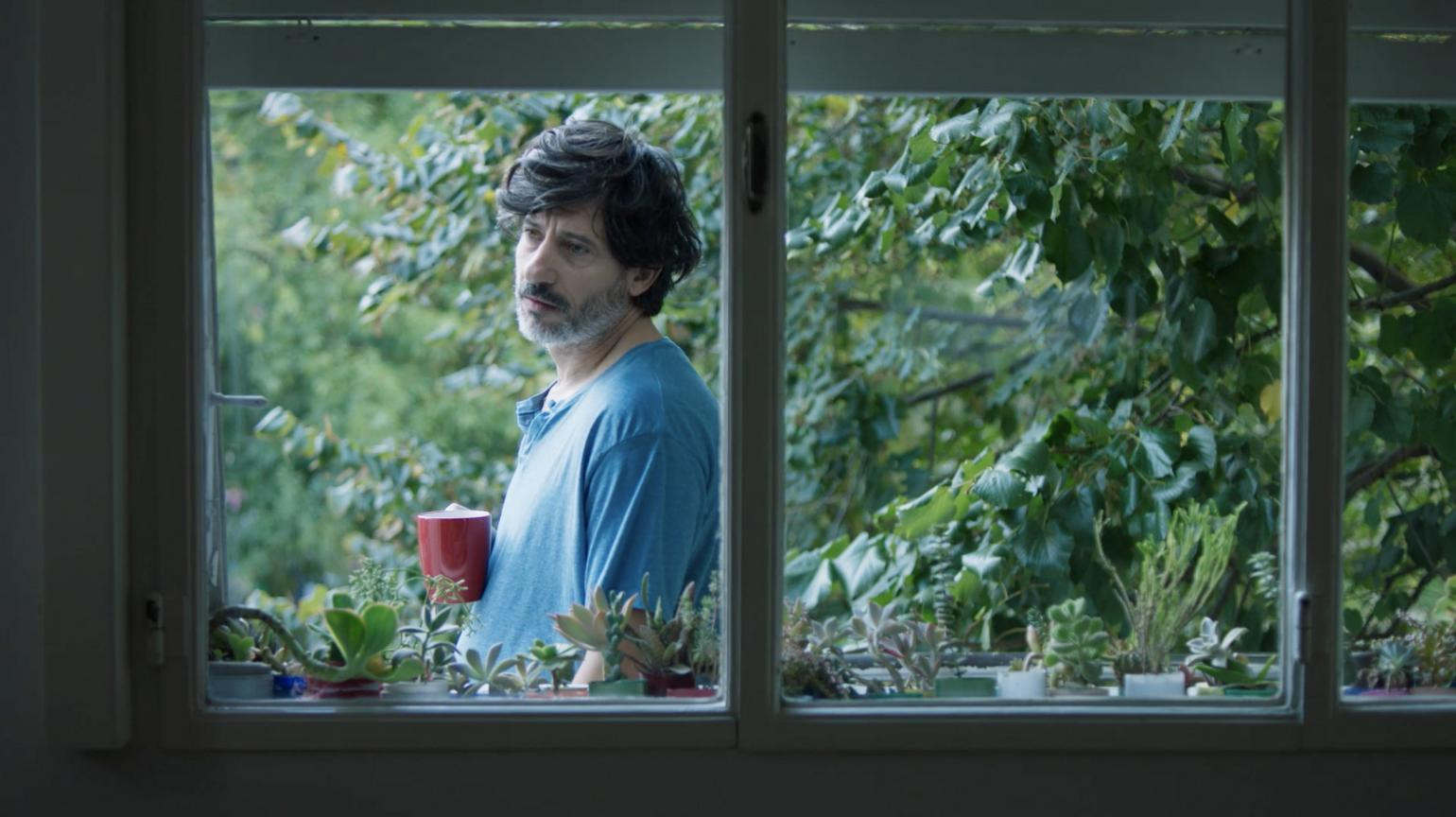 Backdrop for A Blue Bird