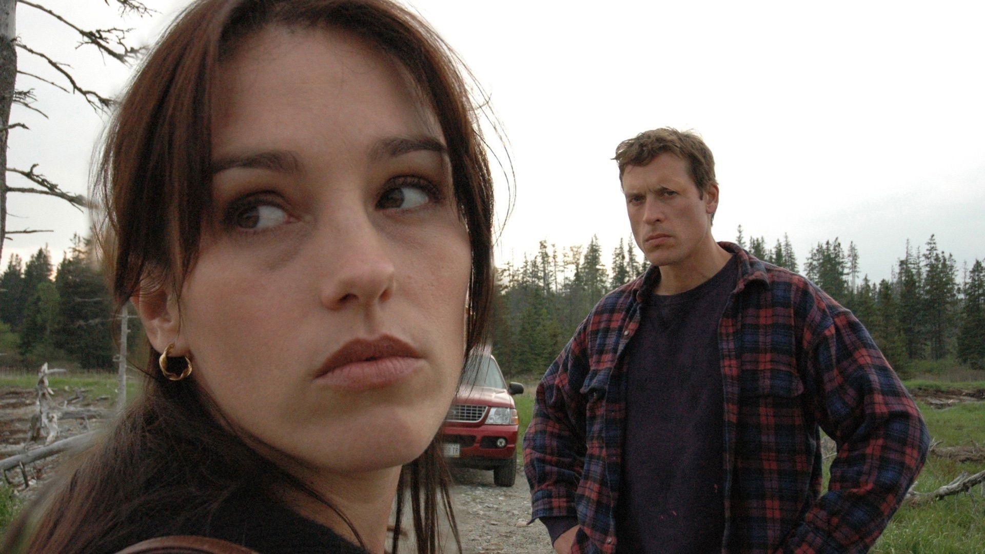 Backdrop for Islander