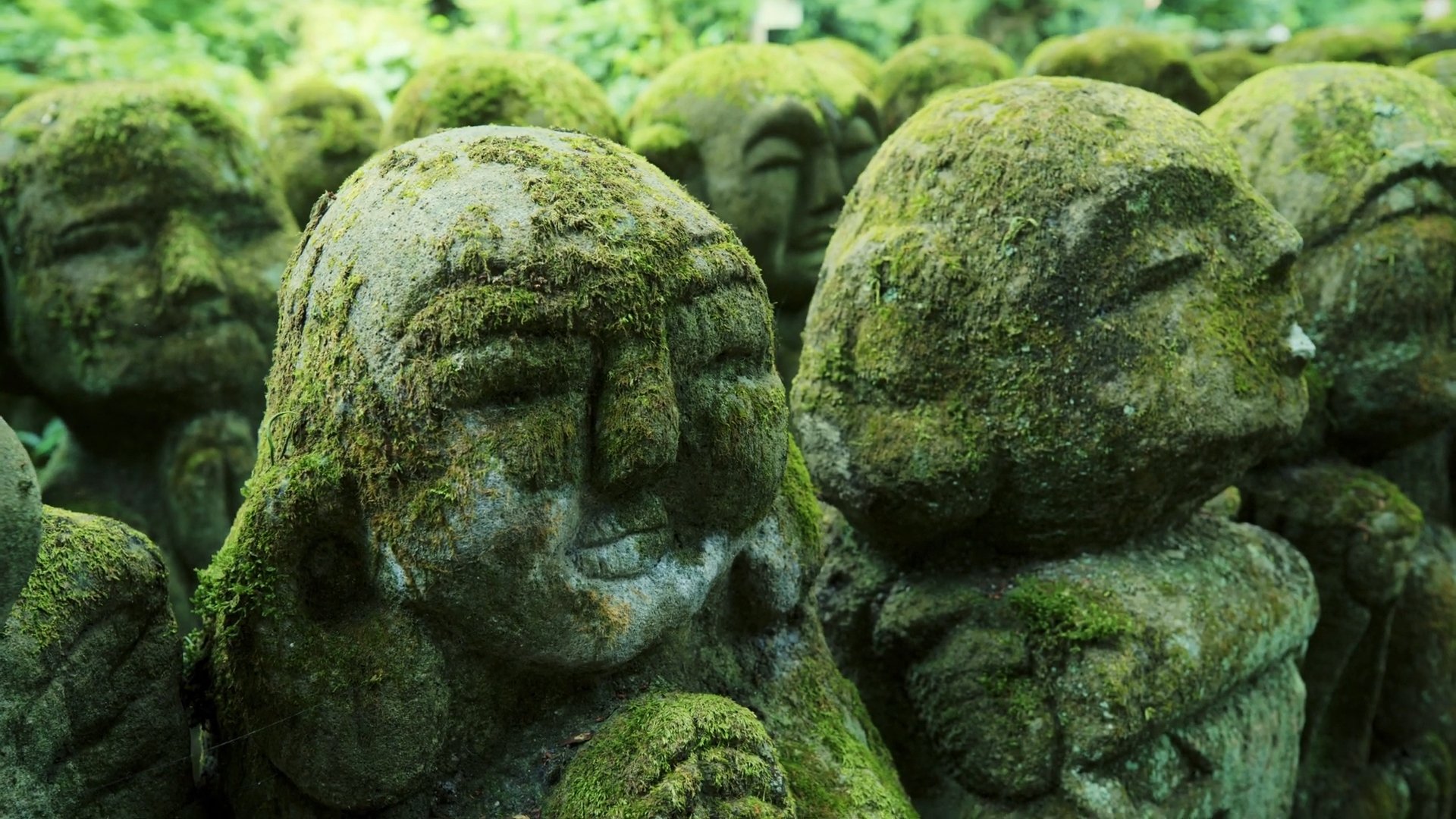 Backdrop for The Magical World of Moss