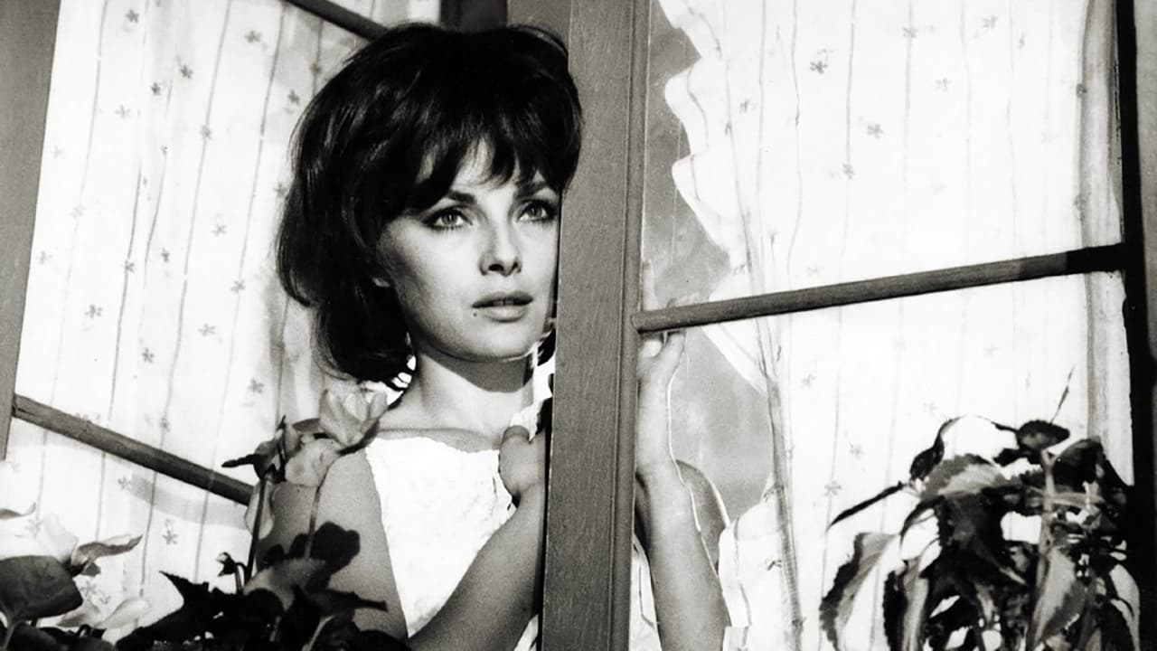 Backdrop for The Birds, the Bees and the Italians